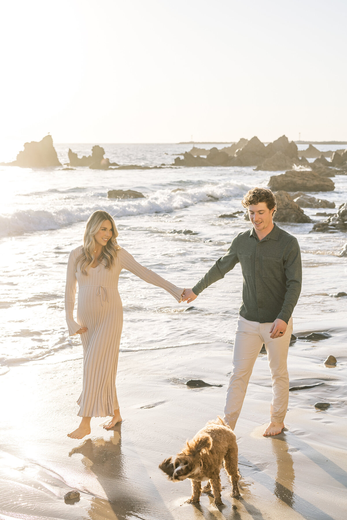 bright and airy maternity photo with dog on the beach
