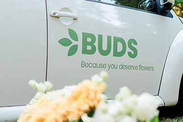 Horn Photography & Design Buds - 0018_