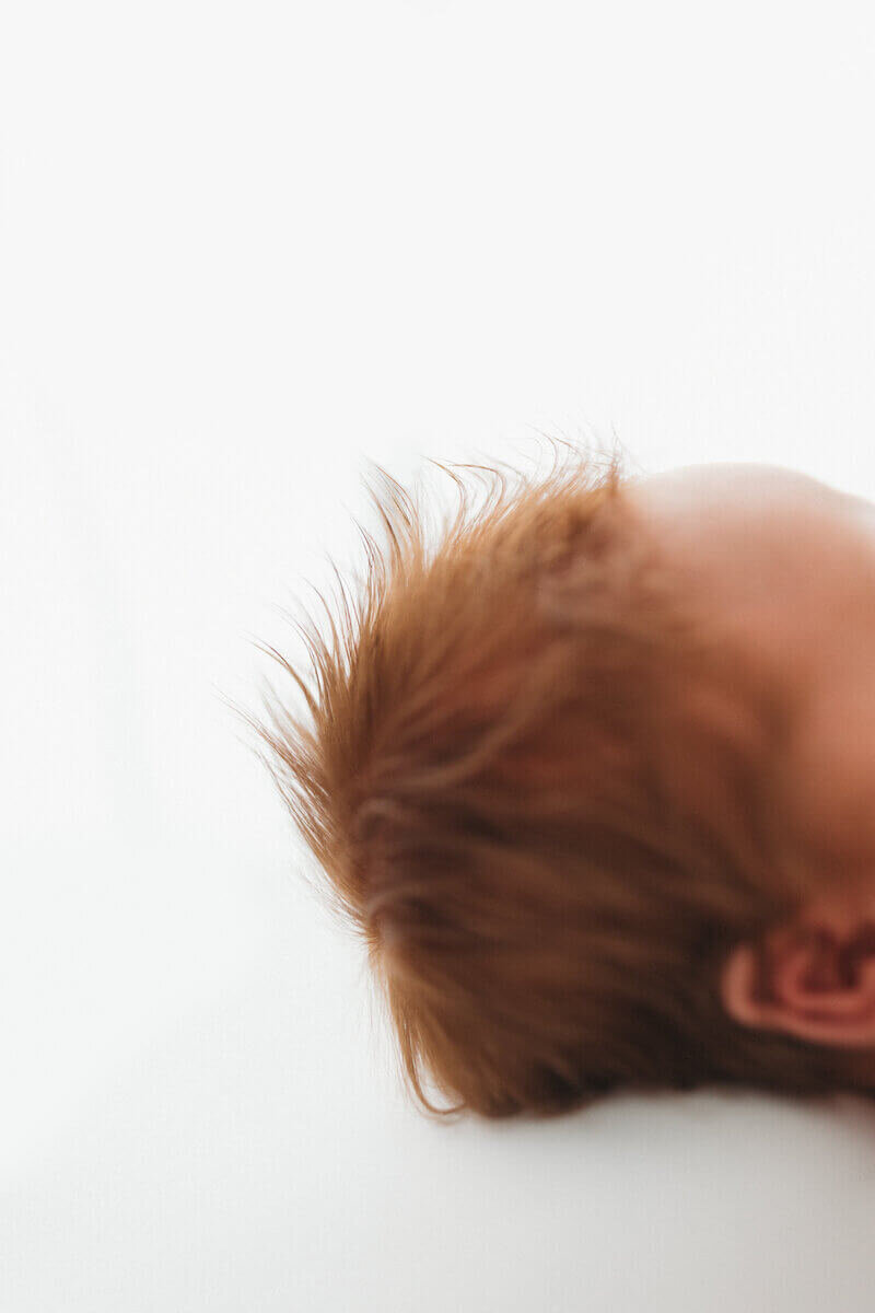 Close-up of a newborn's soft, spiky red hair, with the rest of the baby’s face slightly out of focus against a white background.