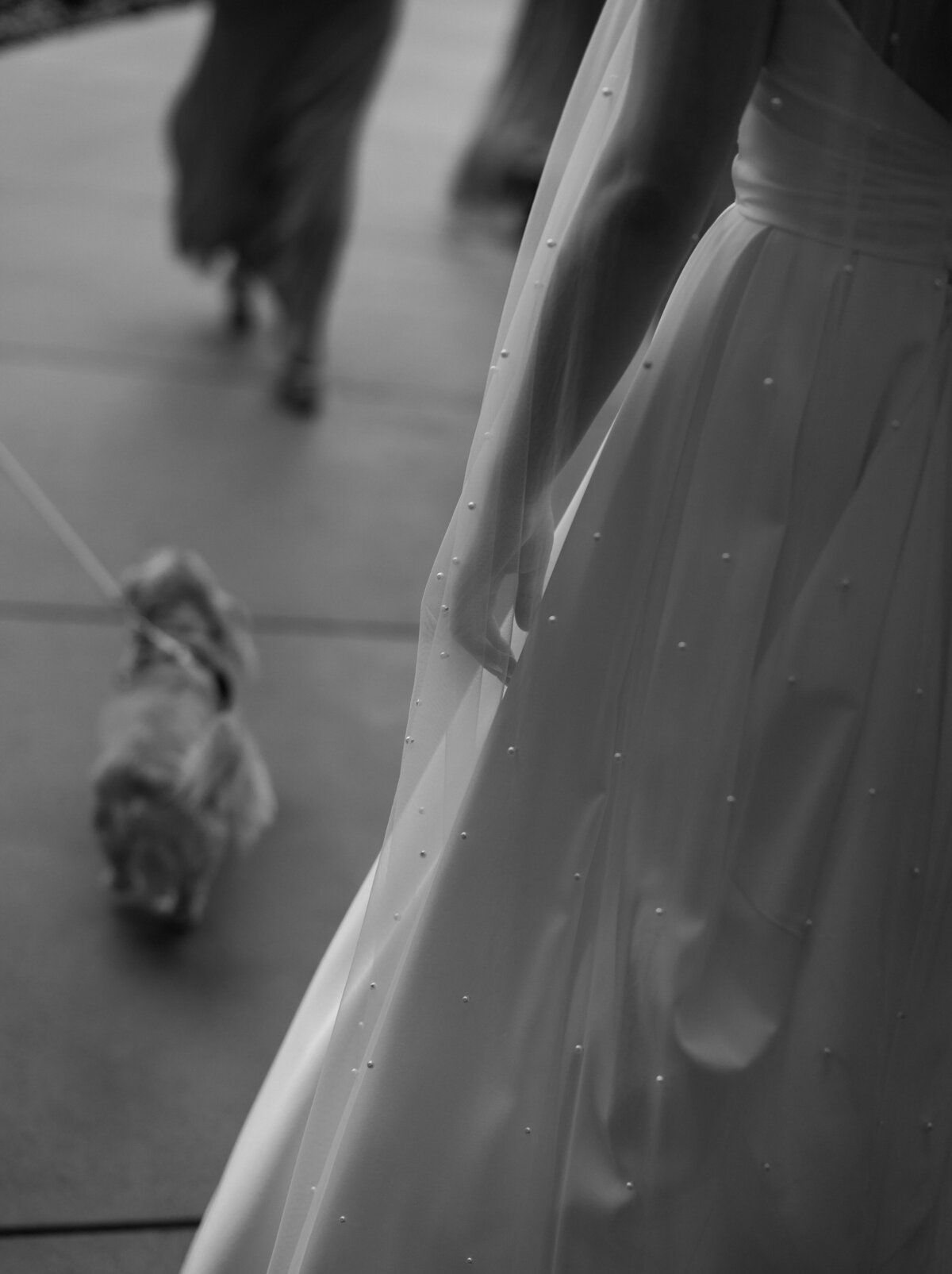 Scottsdale desert wedding venue with bride and groom photographed by Kollar Photography