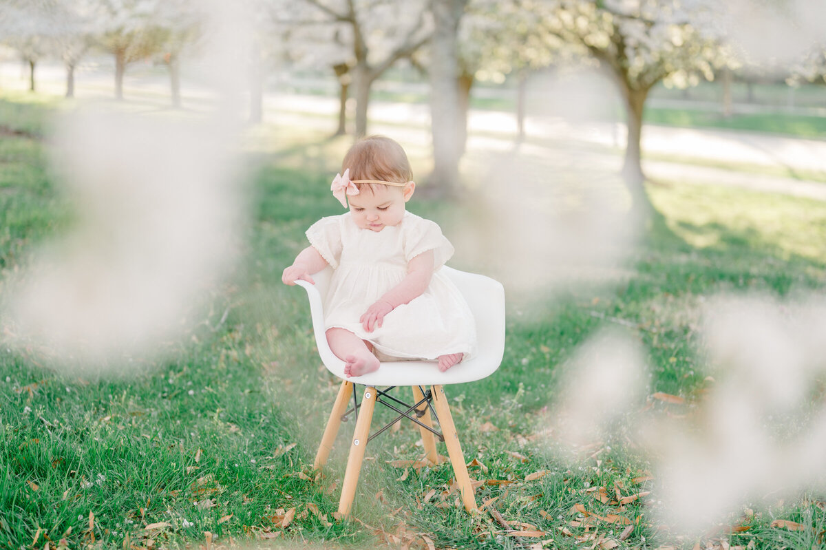 one-year-milestone-cherry-blossoms-2