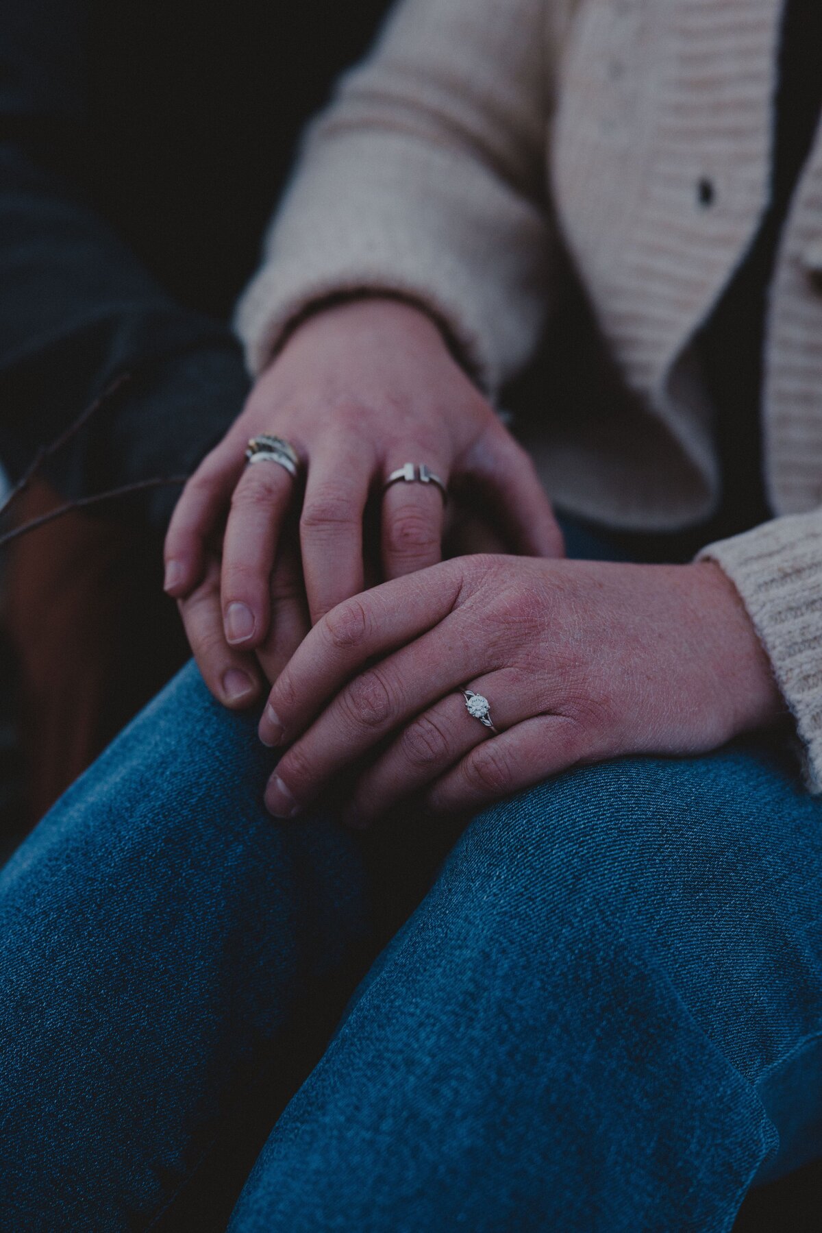 123AlaskaMountain EngagementGlen Alps