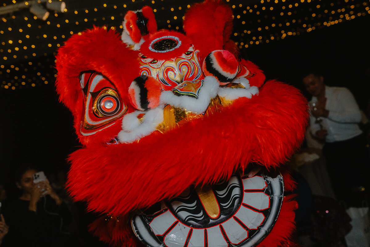 N&A_LionDance-40