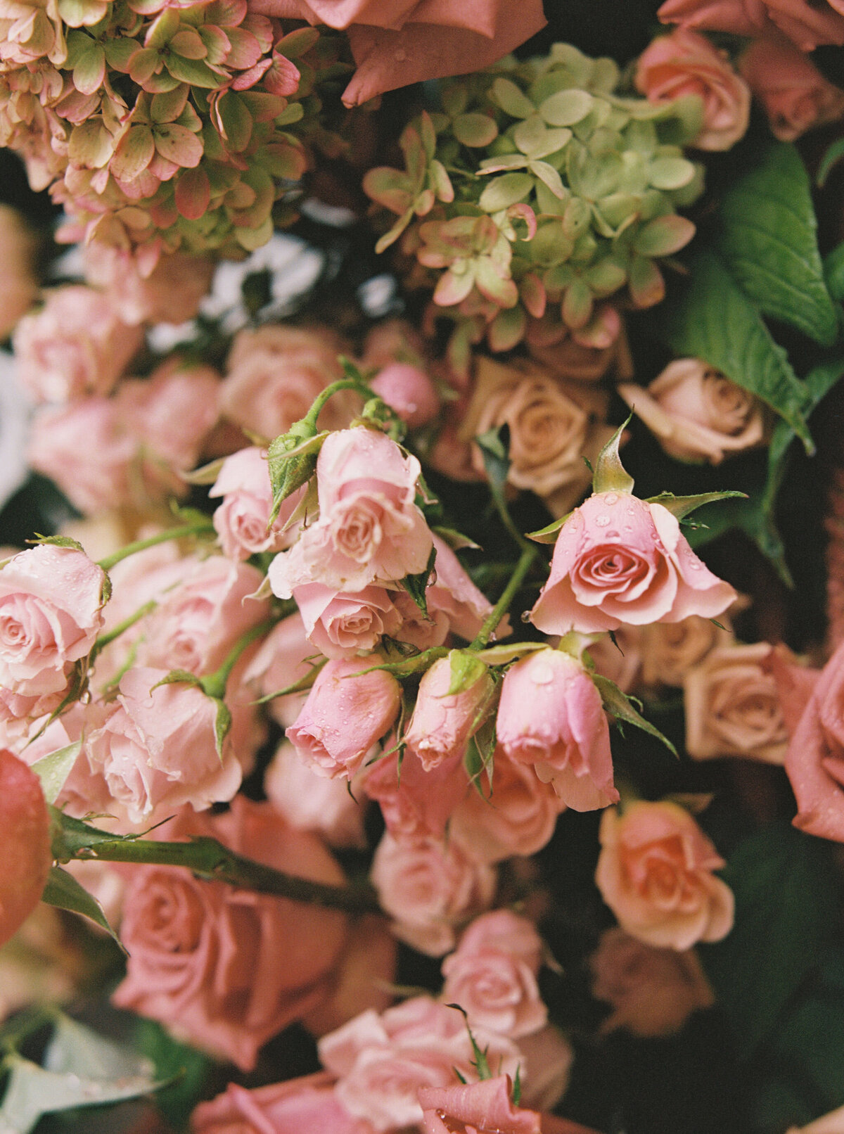 The Mount Wedding-AmandaKPhoto-68