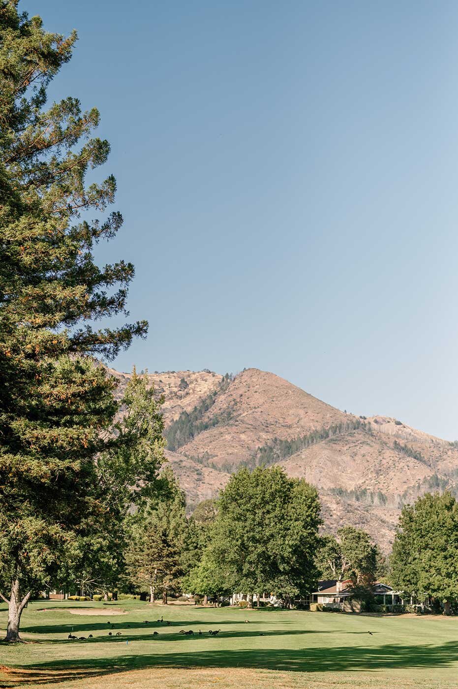 Santa Rosa Mountain Wedding Photos