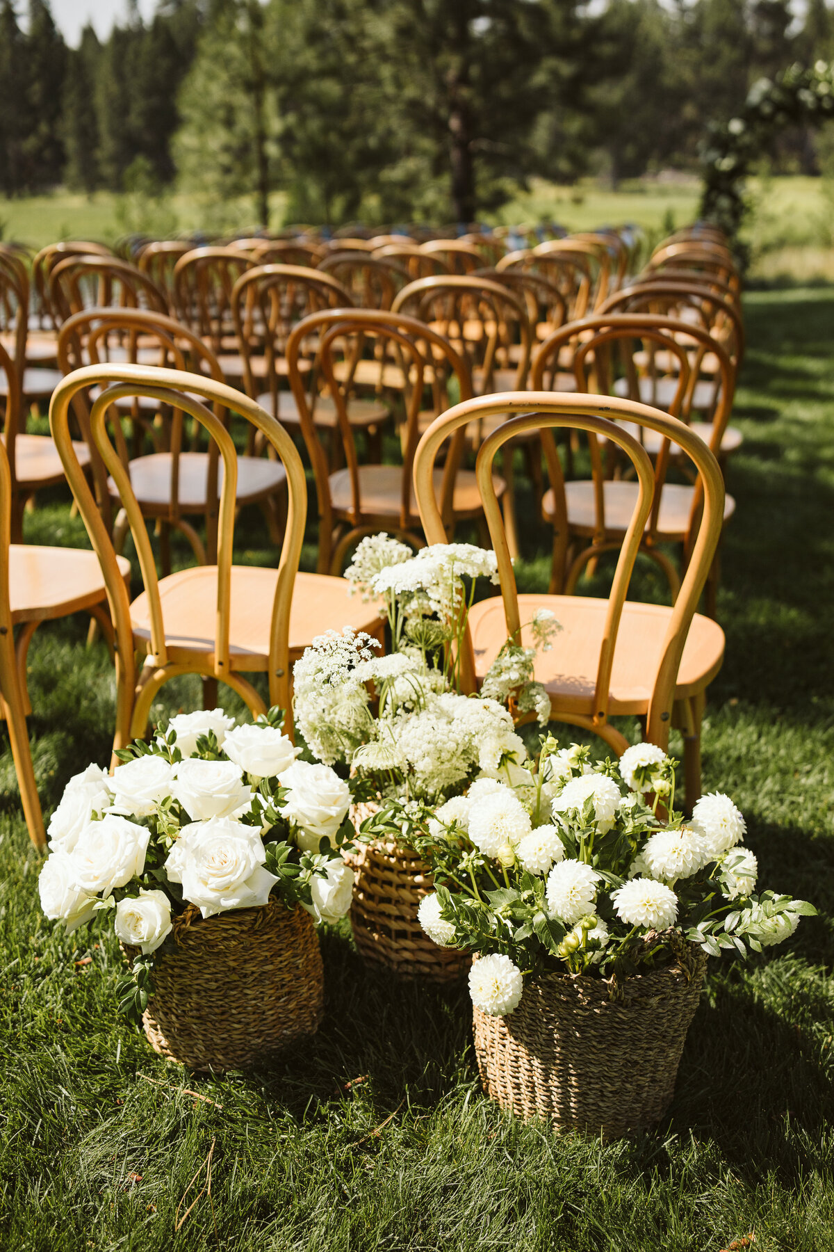 Red Aspen Photography-397