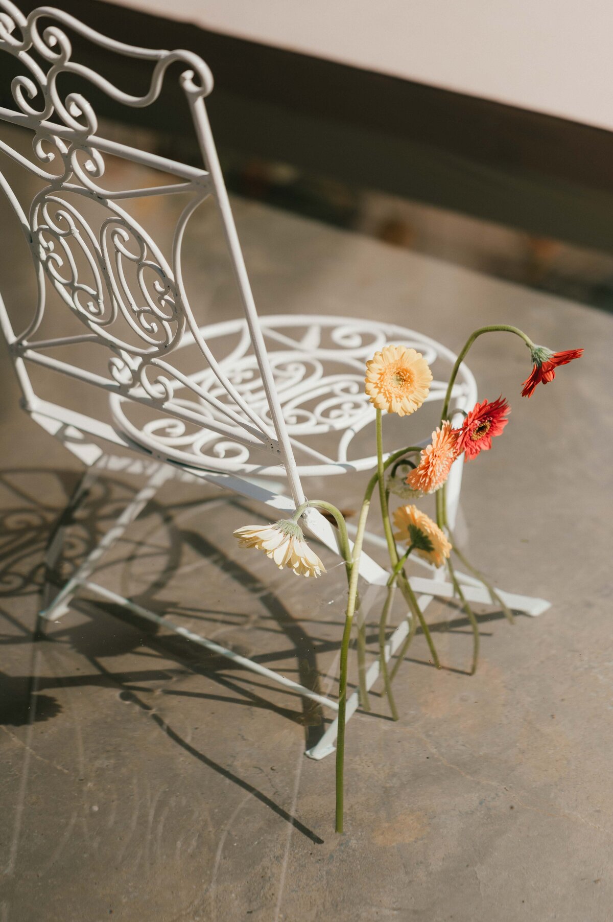 www.labohemephoto.com-35