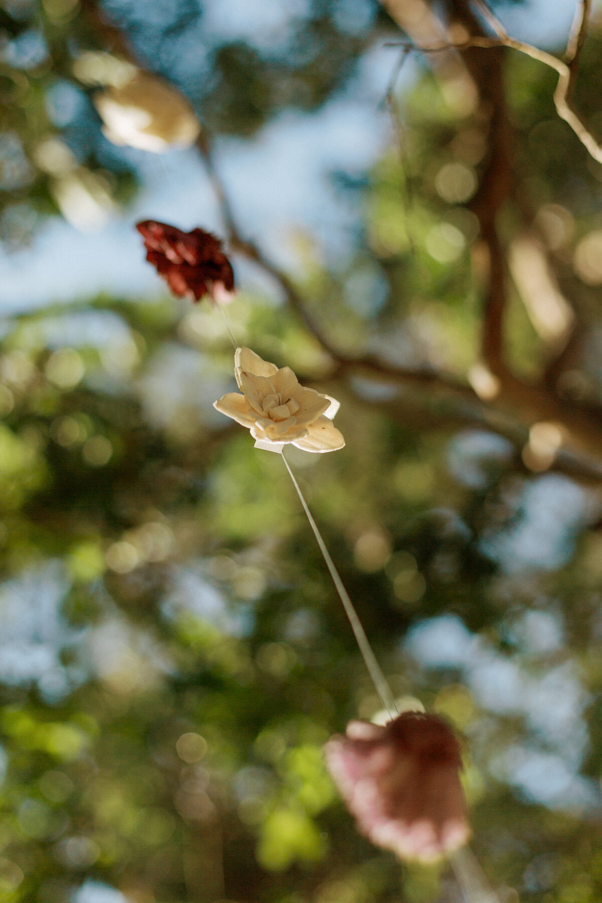 NatalieAnnSchaefer_Bay_Area_Wedding_Photographer-35