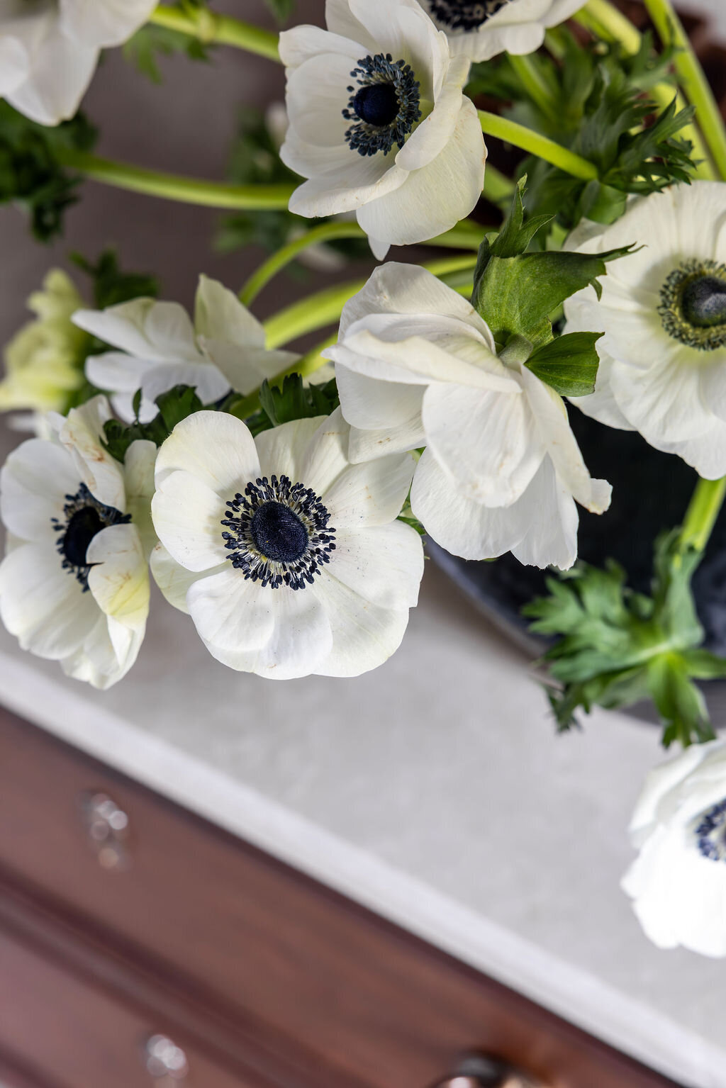 Prudence-Homes-Waring-Interior-9