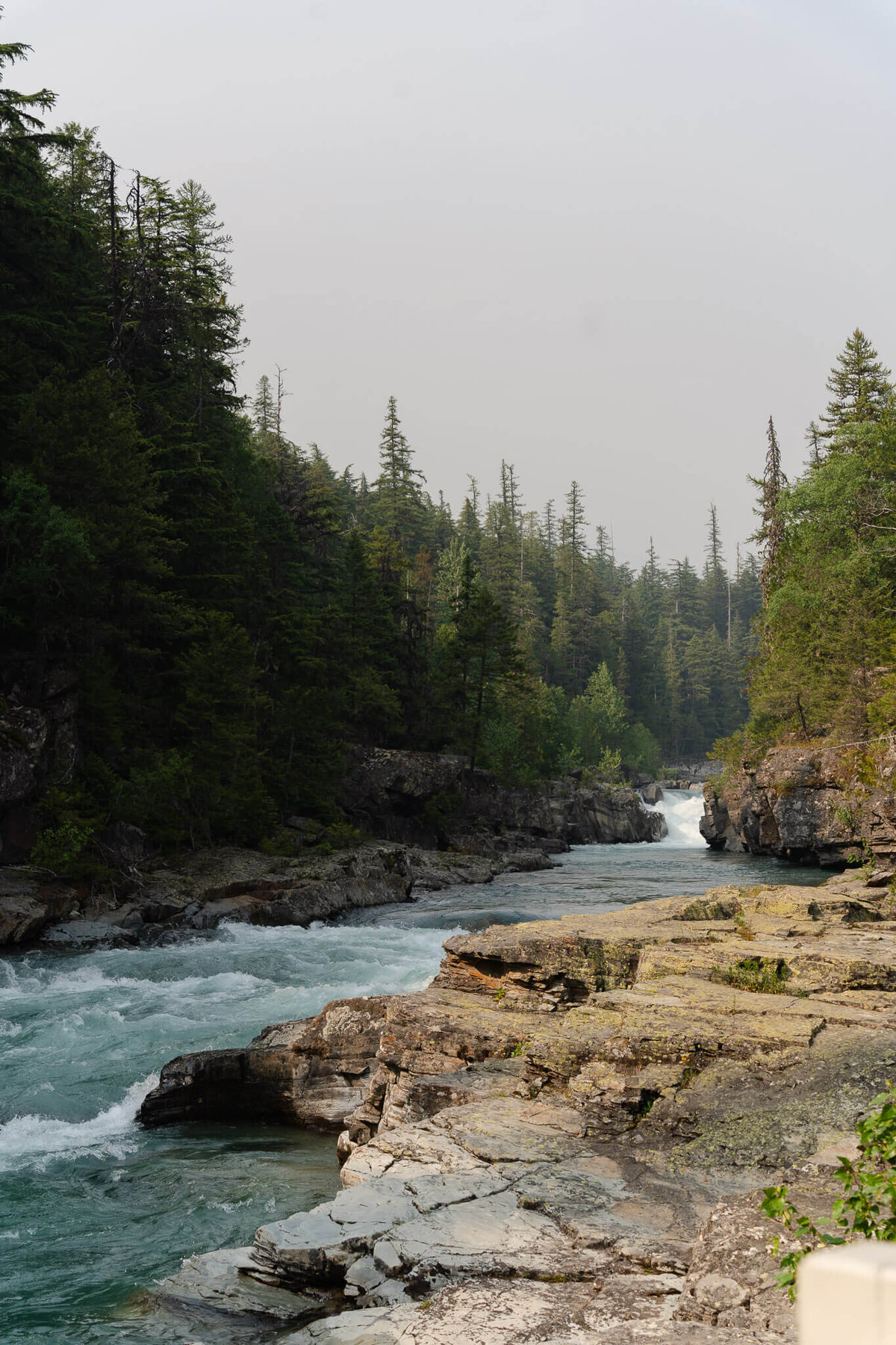 A sunny day in big bend national park near Mariscal Mines