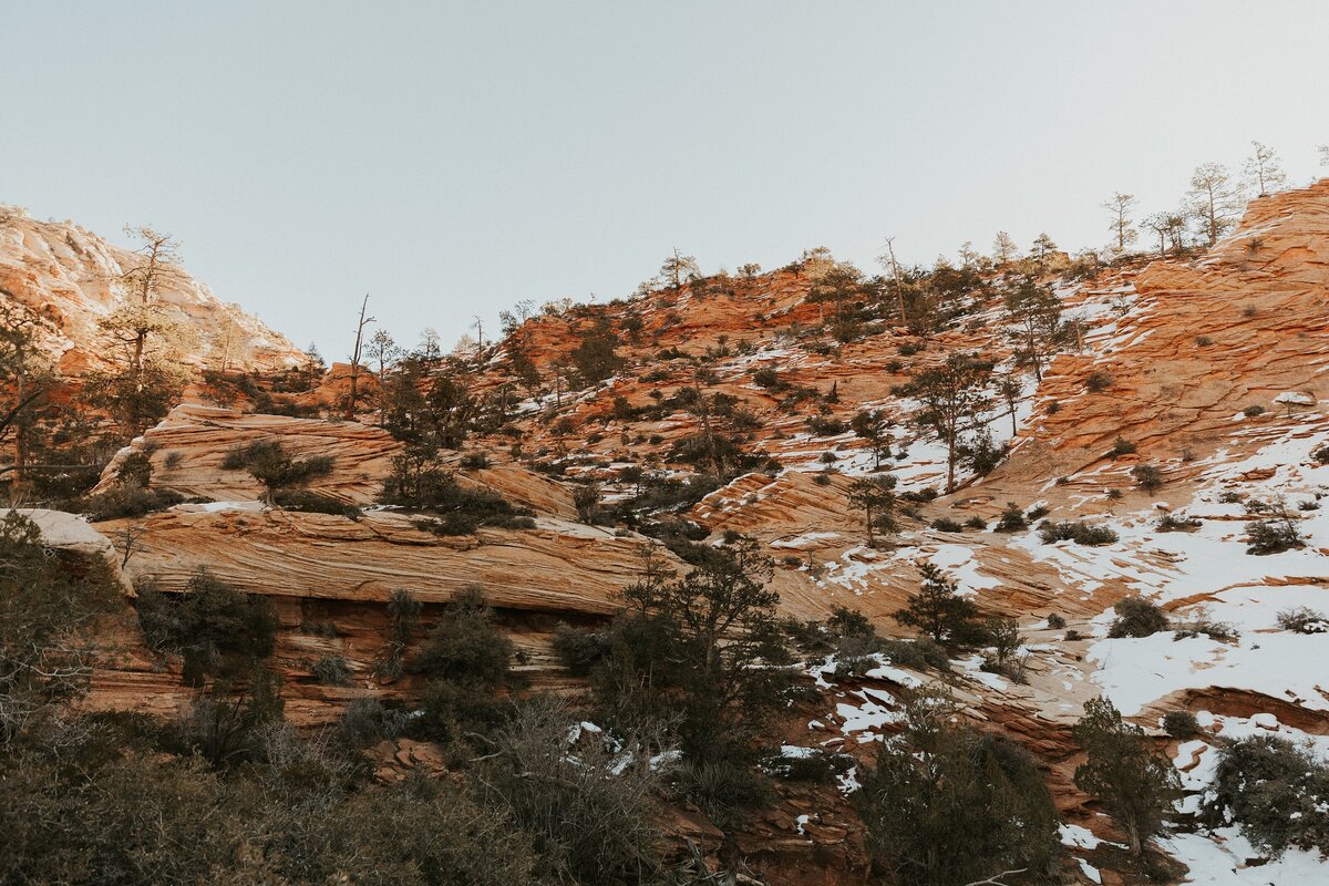 Zion-National-Park-13