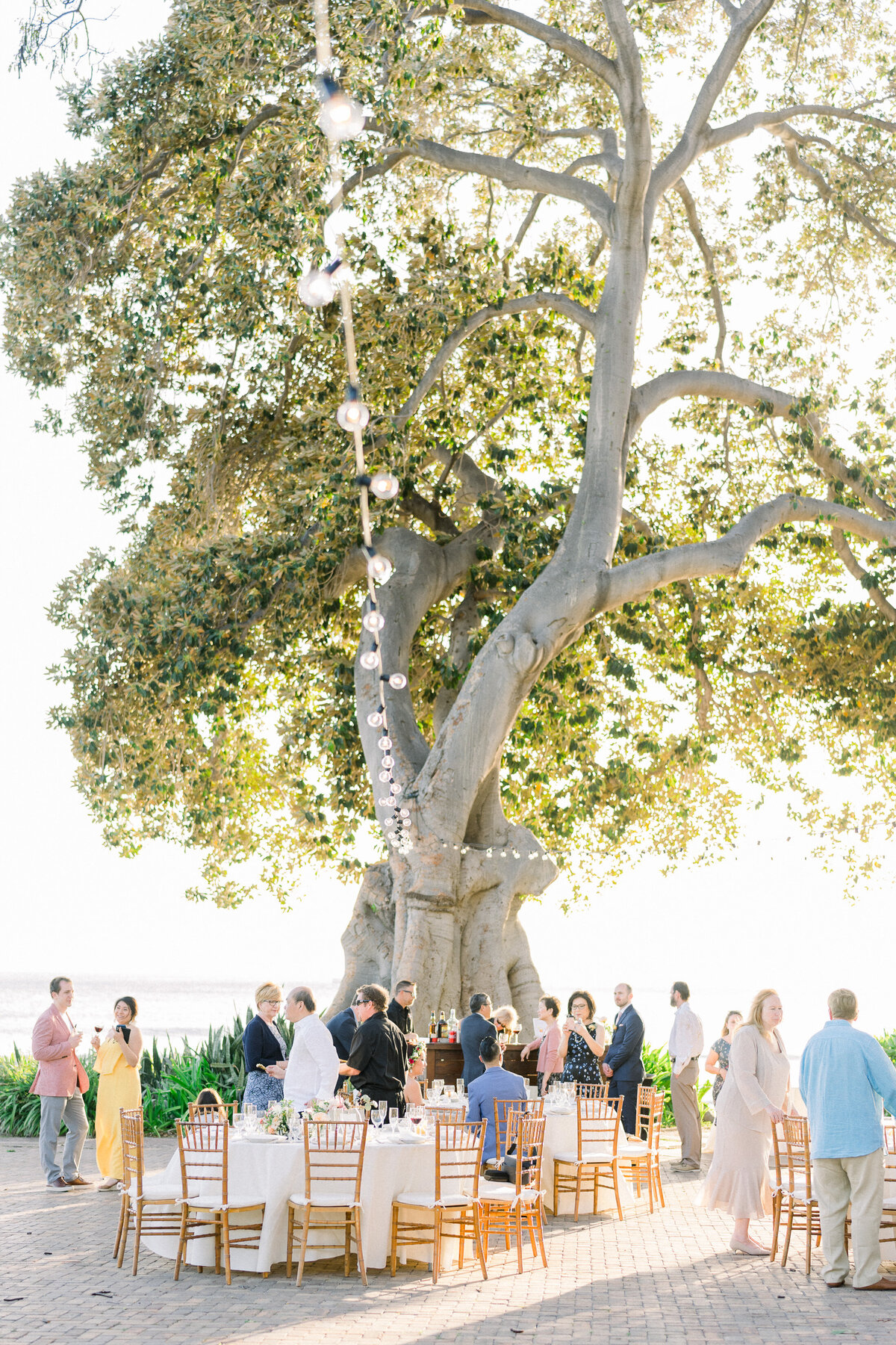 MAUI-WEDDING-PHOTOGRAPHER-47