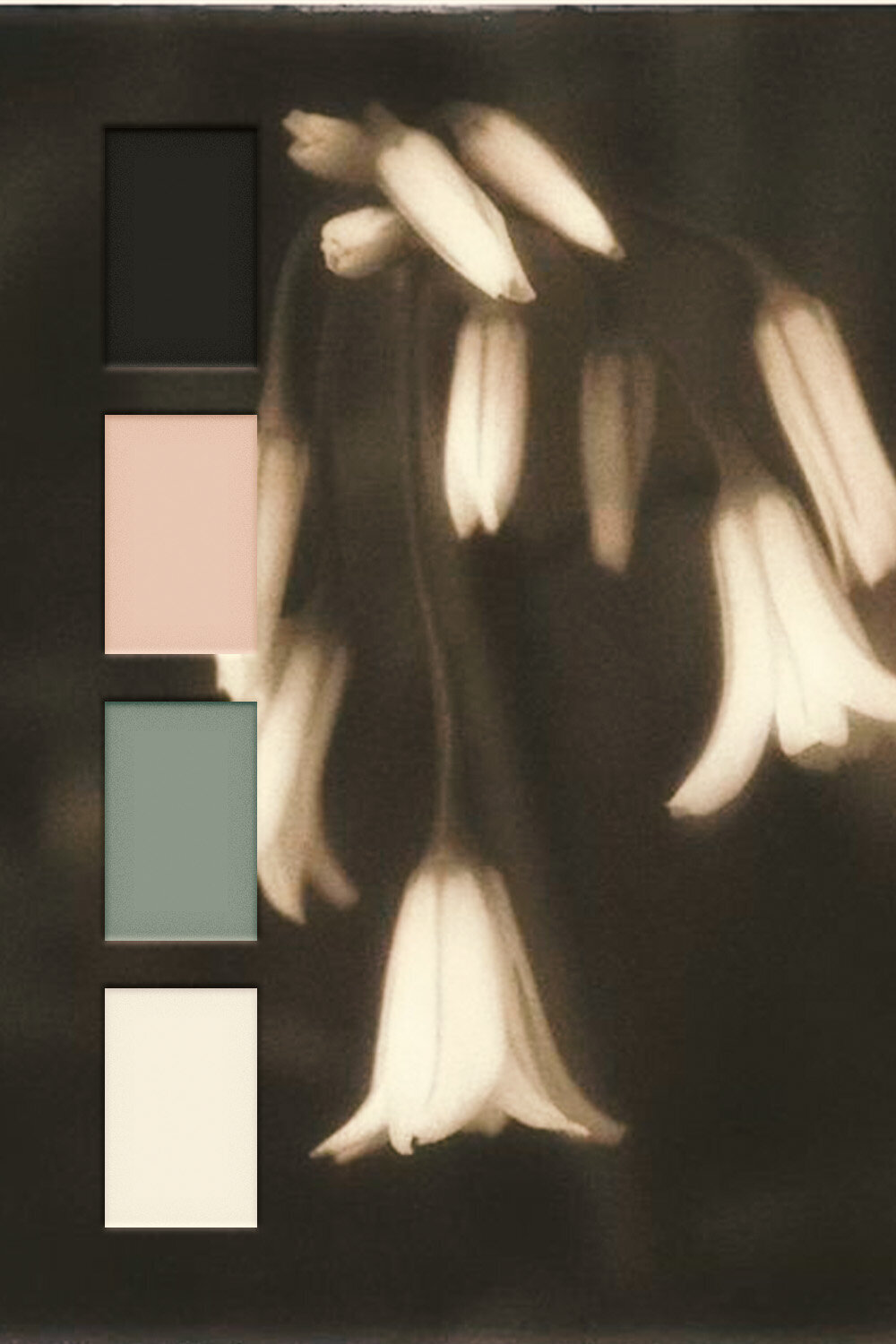Colour Palette copy