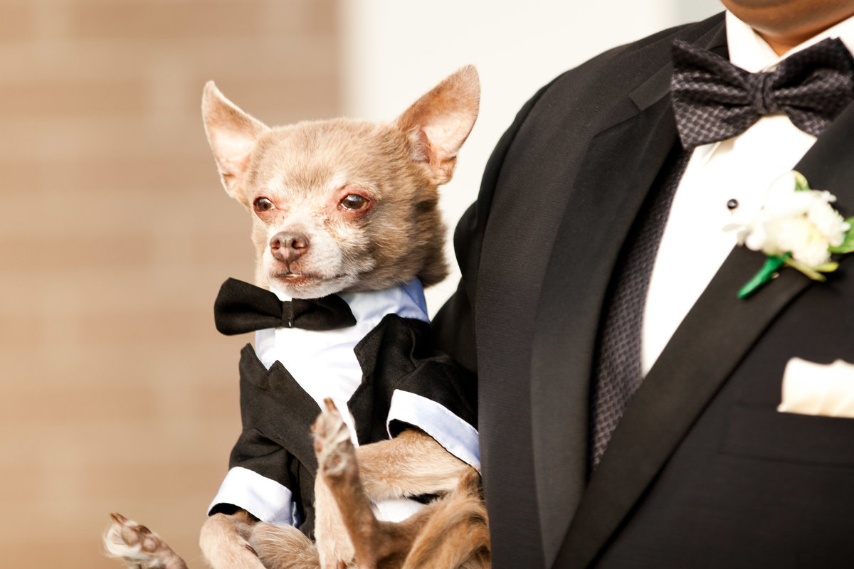 Stephens (273 of 394)