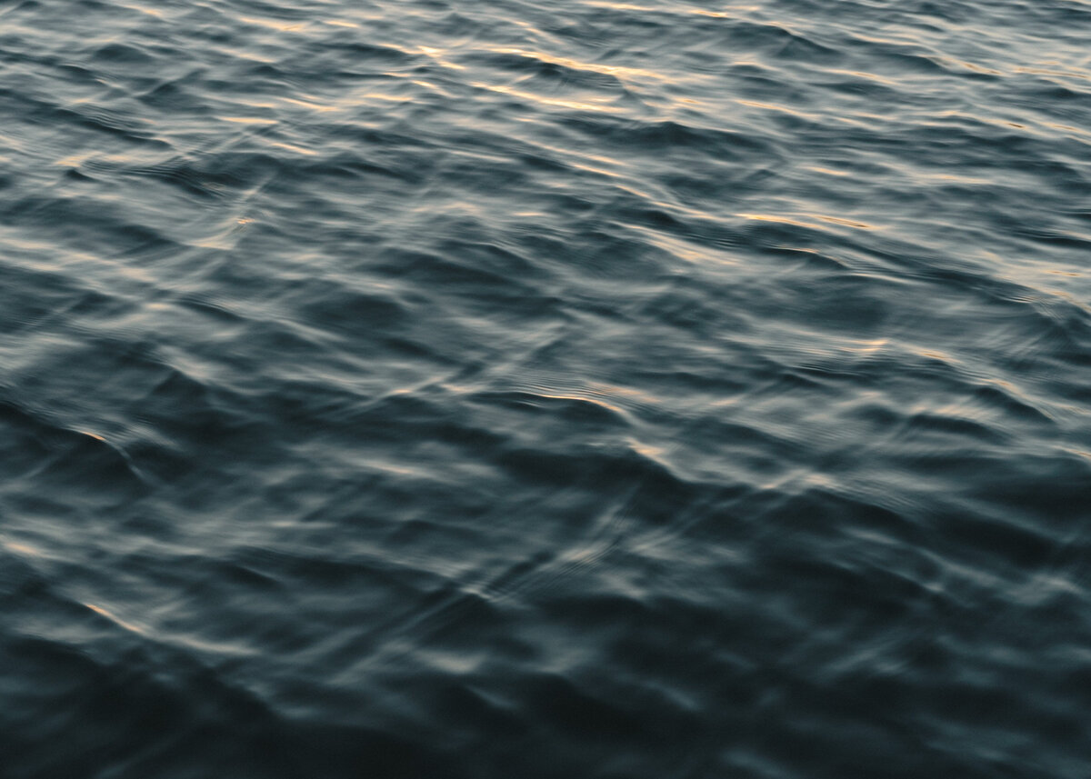 wisconsin wedding photographer