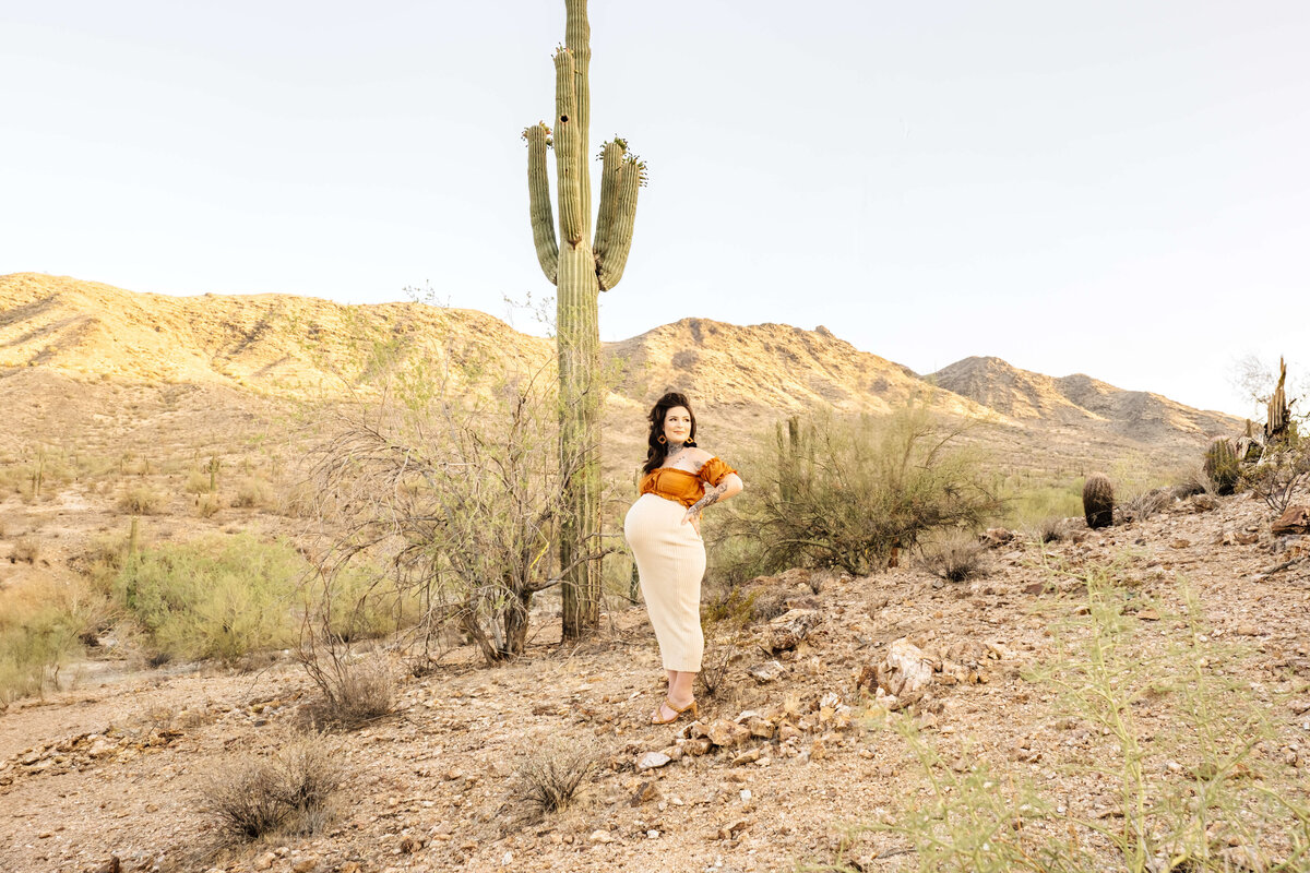 PhoenixDesertMaternityExtras-2
