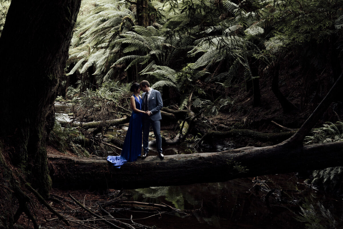 A couple standing in the Redwood forest having their wedding photos taken. The bride is in a satin blue dress the groom is in a powder blue suit, they are surrounded by giant ferns.