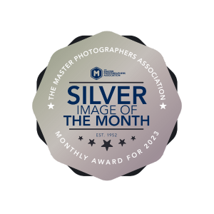 Silver Award from the Master Photographers Association 2023