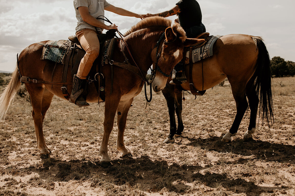 santa-fe-new-mexico-horseback-riding-engagement-photos (19)