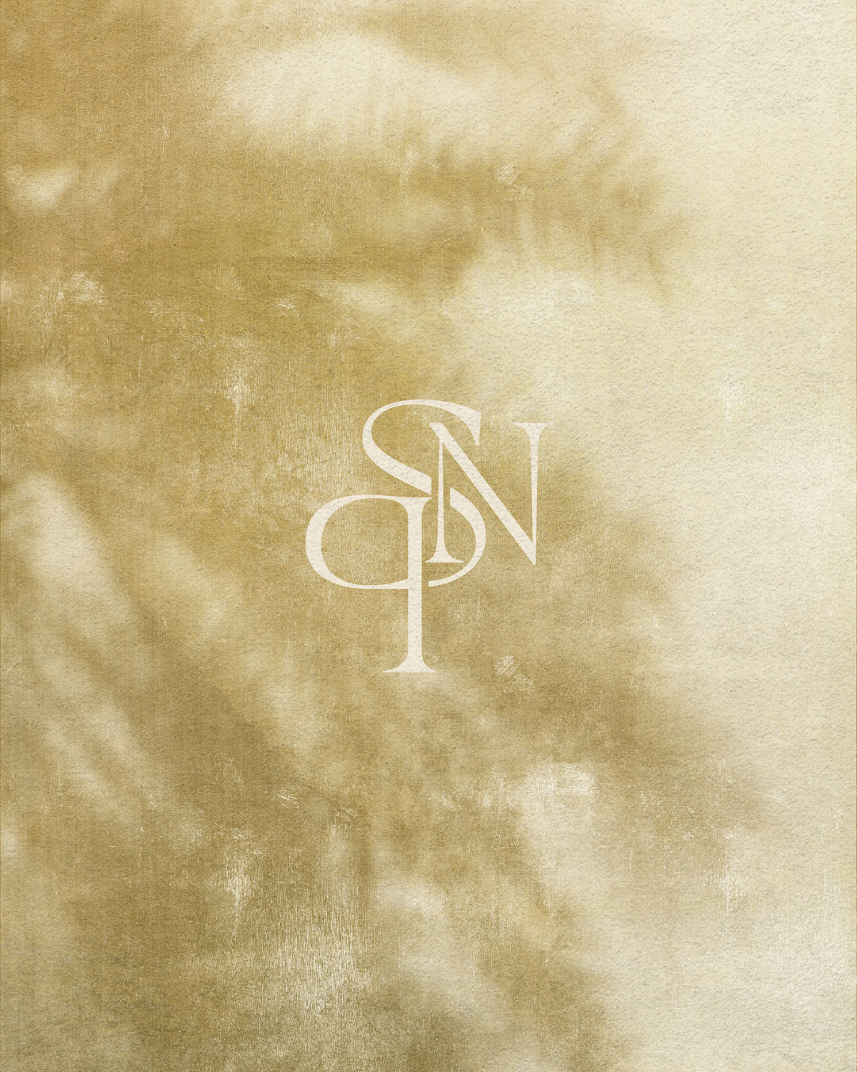 SNP Design Studio-15