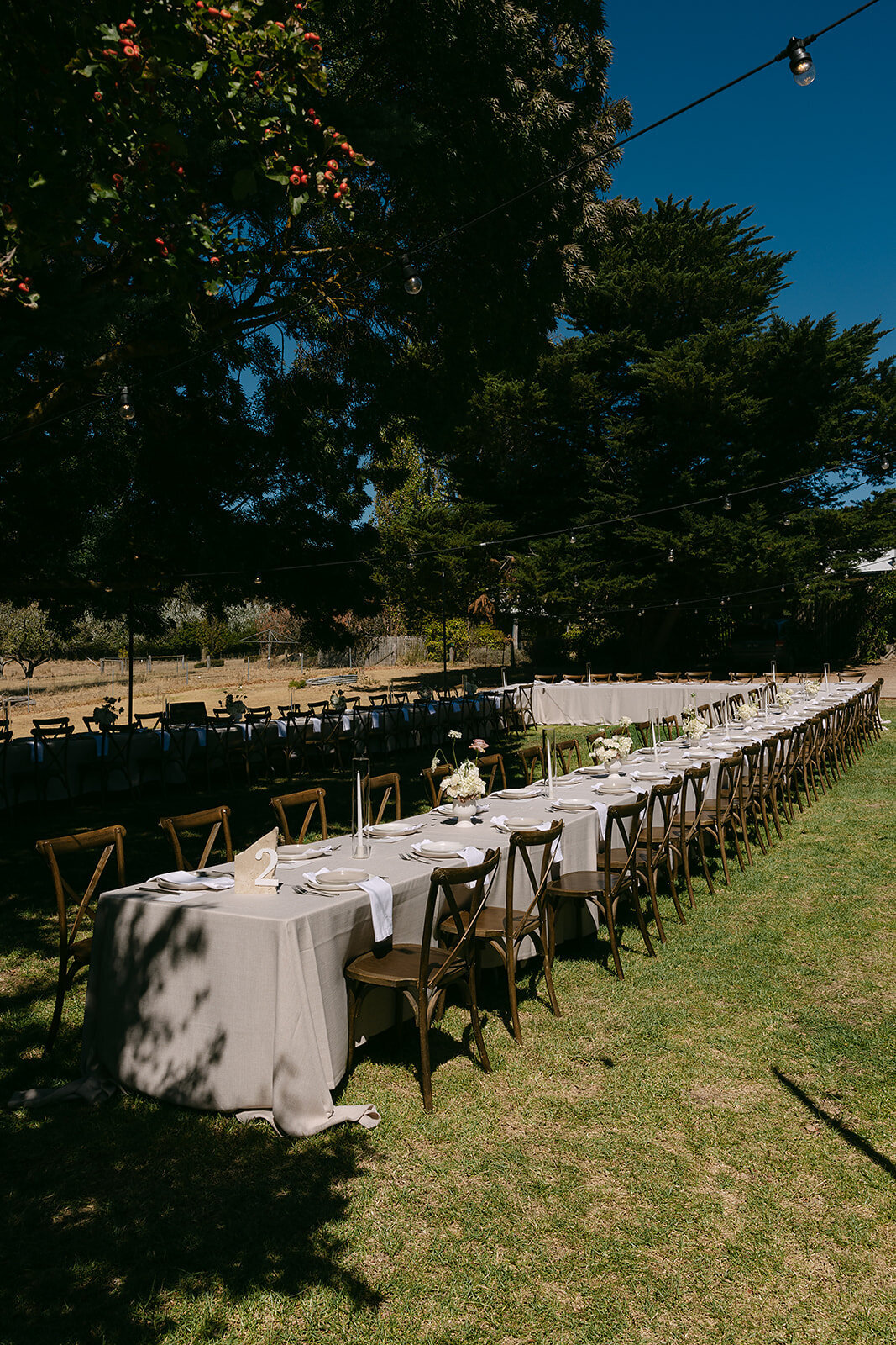 Rach and Max - Ashleigh Haase Photography-53