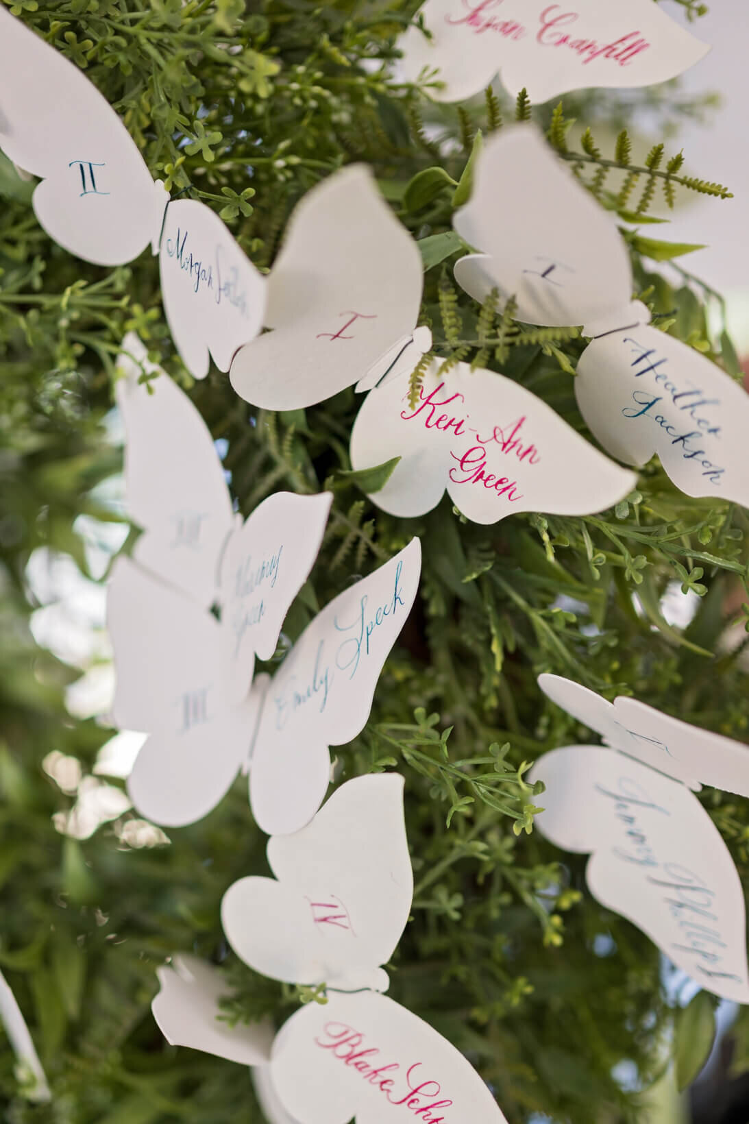 Wedding-at-Ivy-Rose-Barn--12