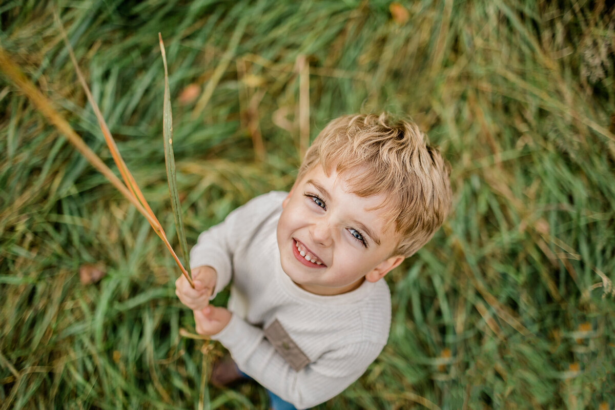 Cute toddler boy in field, Basking Ridge Family Photographer