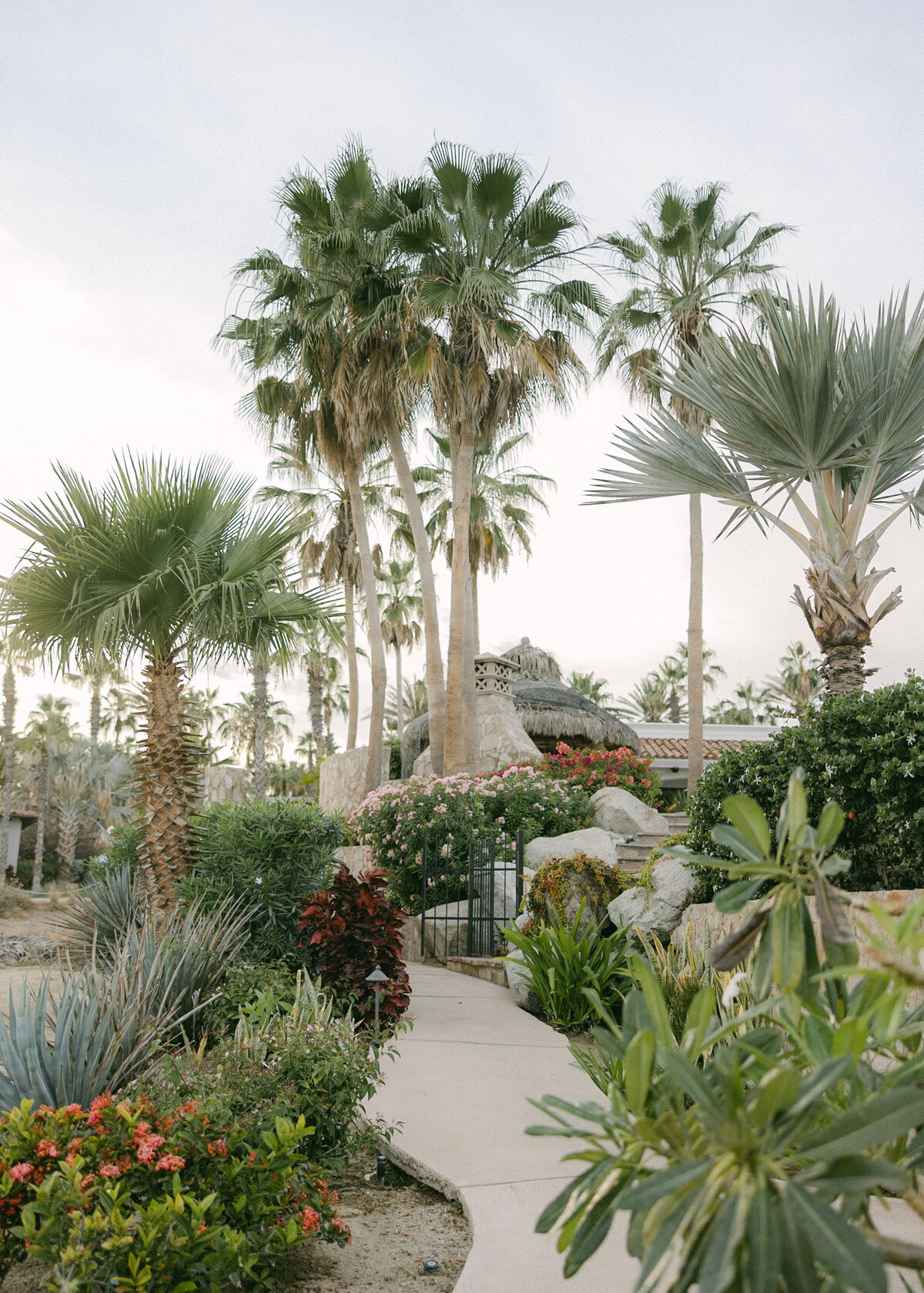 cabo-wedding-Holly Clark Photography -821