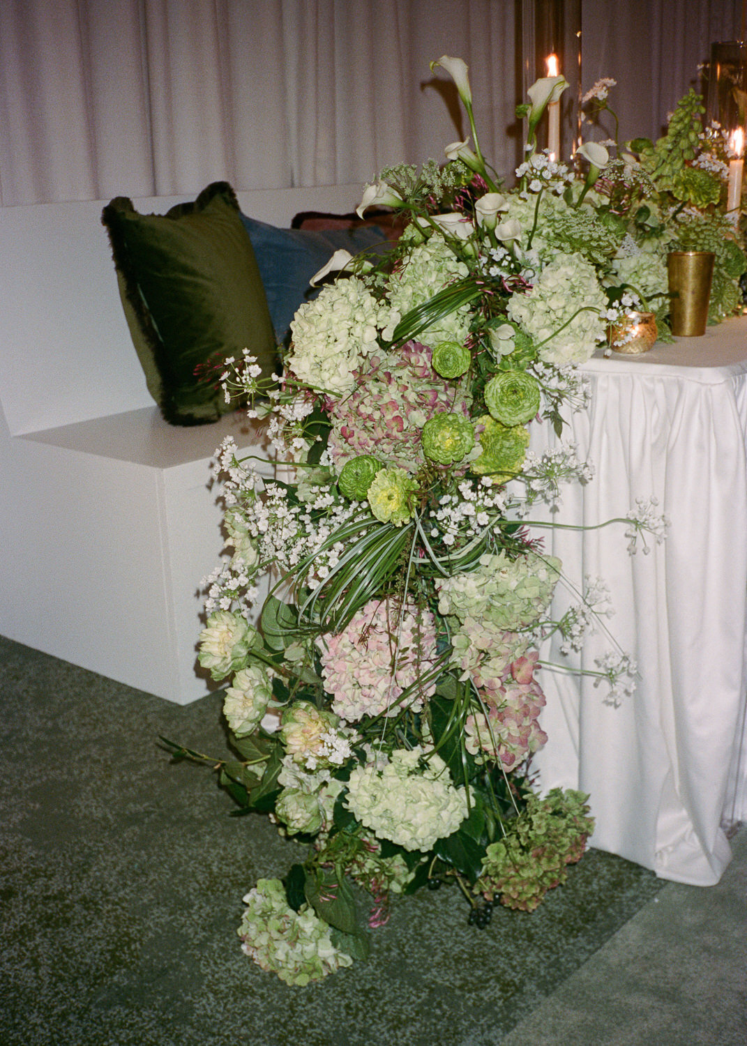 bardogallery-web--104