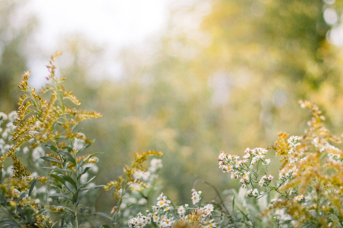 forest-maternity-session-19