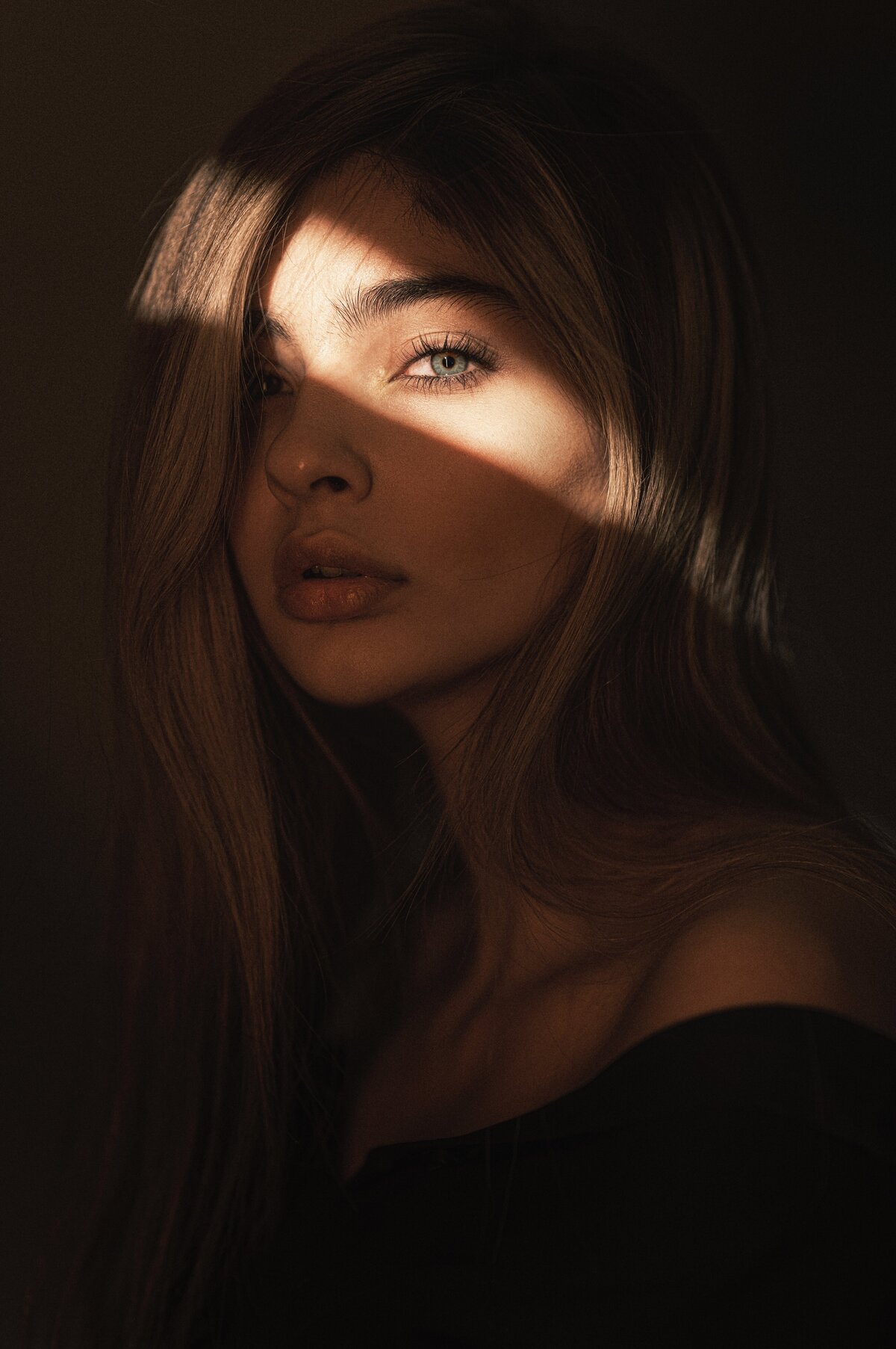 hosein-shirvani-r2ufKZ2vQh0-unsplash