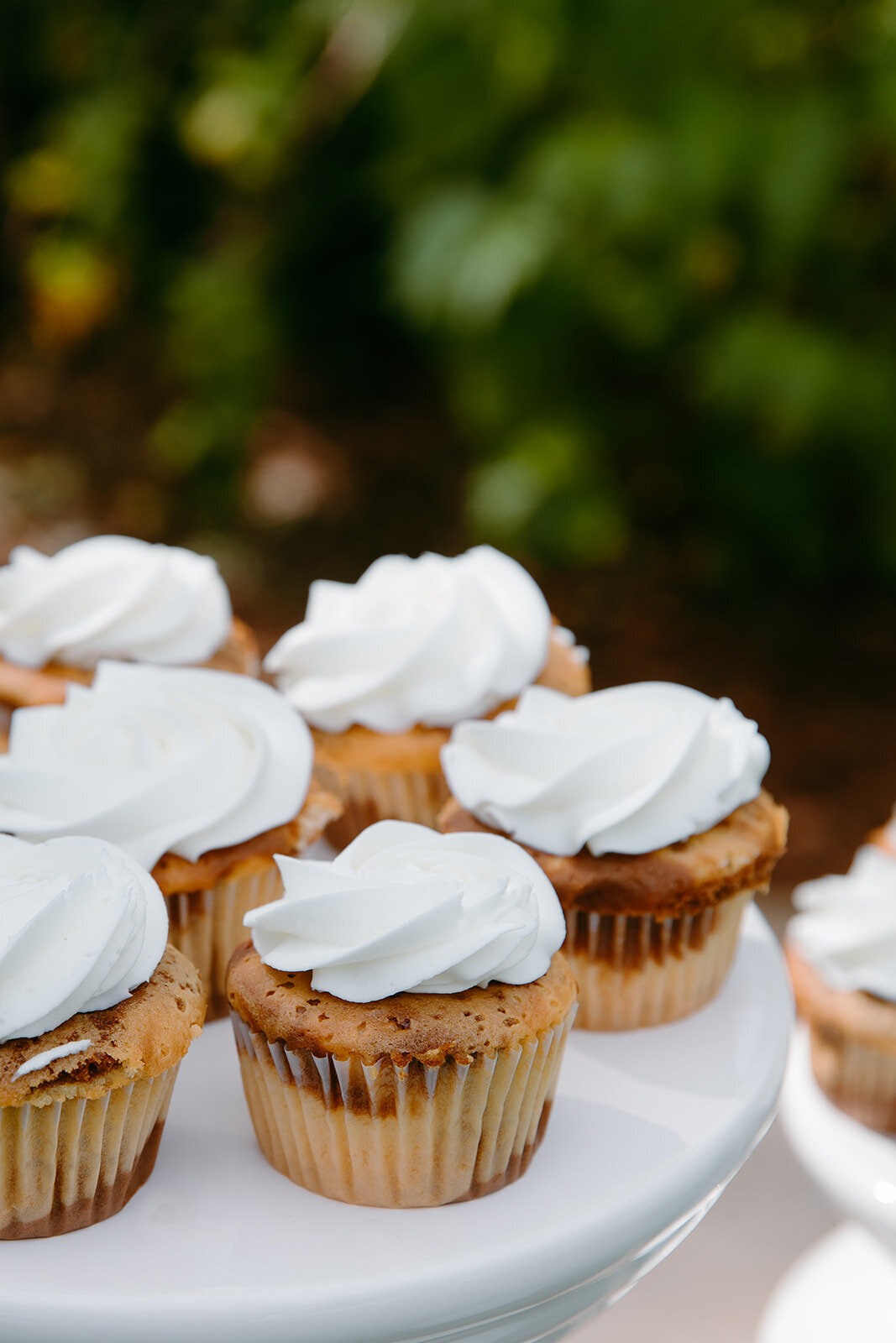 Jessica-Cruz-Photo-Elopement-Florida-Botanical-Gardens-Chantilly-Chic-16
