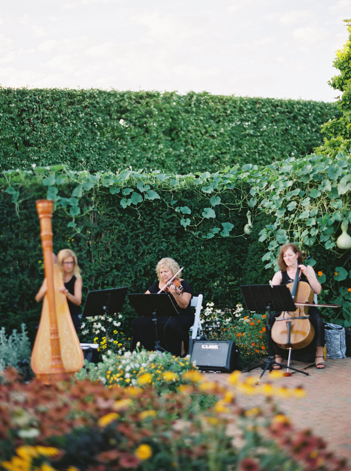 Summer Chicago Botanic Gardens Wedding Highlights | Amarachi Ikeji Photography 55