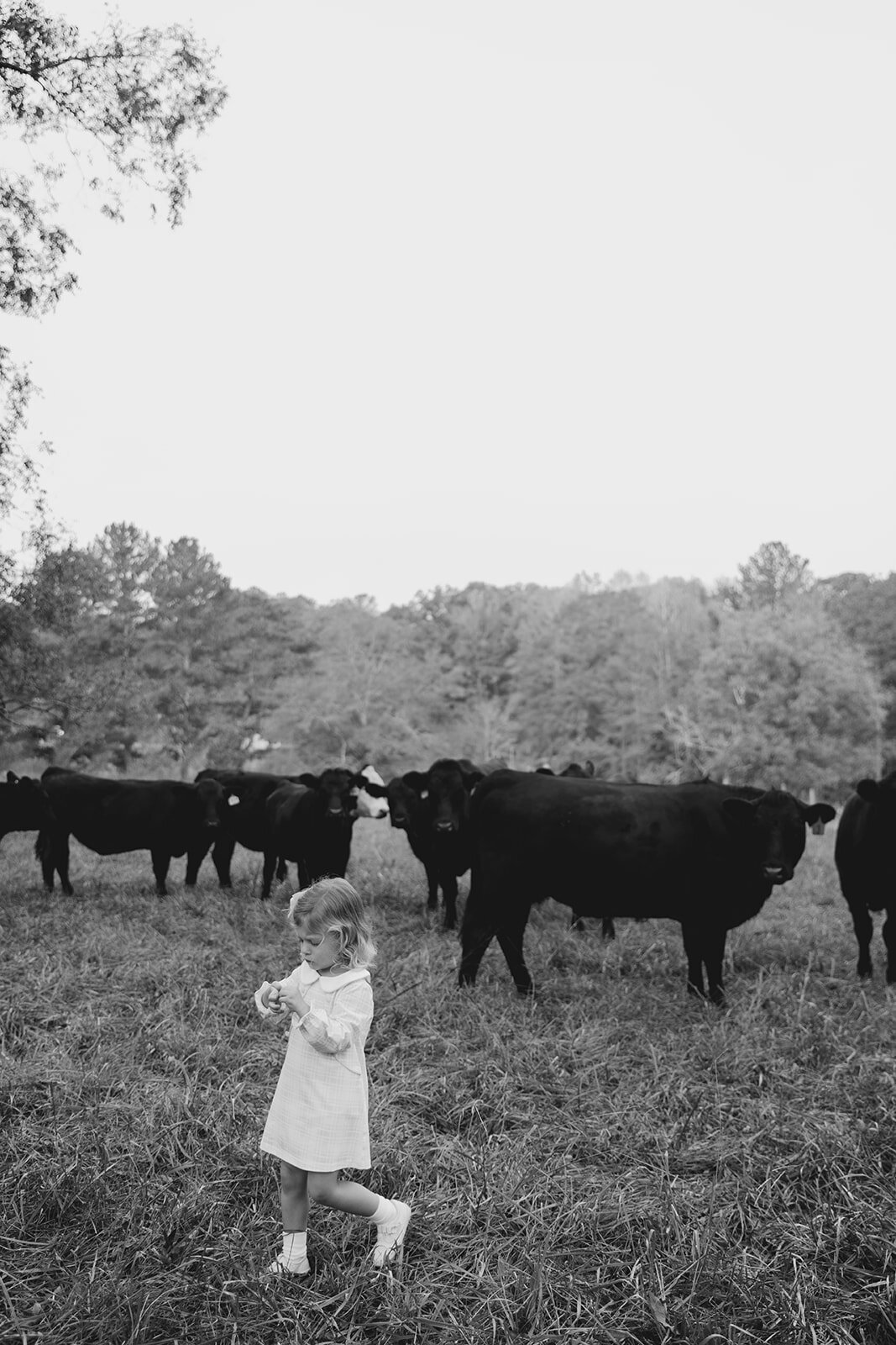 Macon Family Photographer