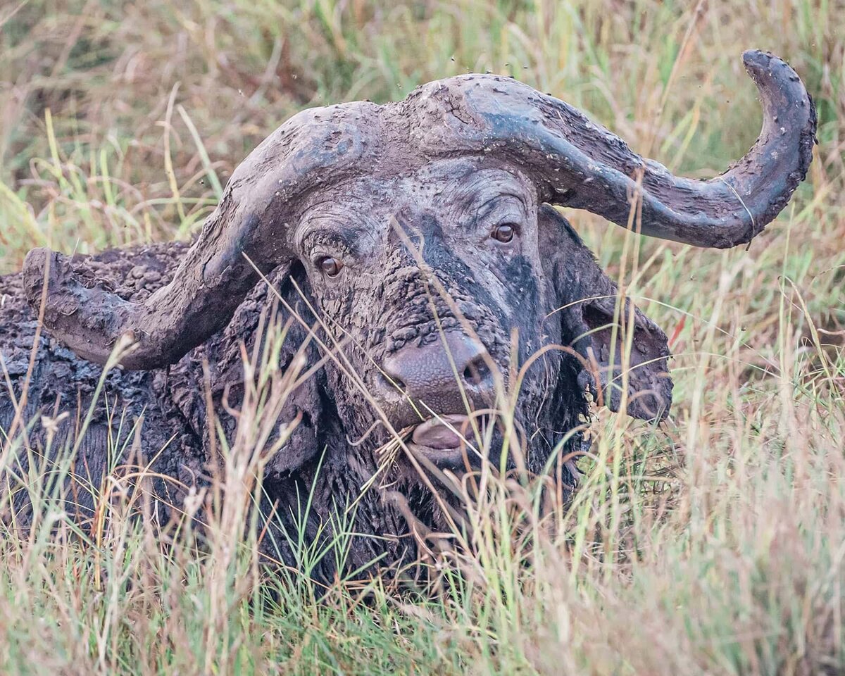 how-many-days-to-book-for-a-romantic-safari-wedding-Soul-and-Sky-Weddings