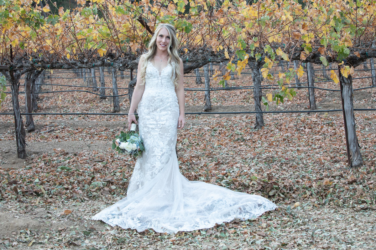 bride in vineyards