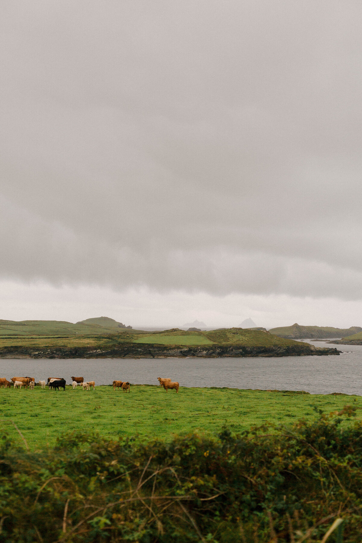 Ring of Kerry Ireland Elopement - Kerry Jeanne Photography  (155)