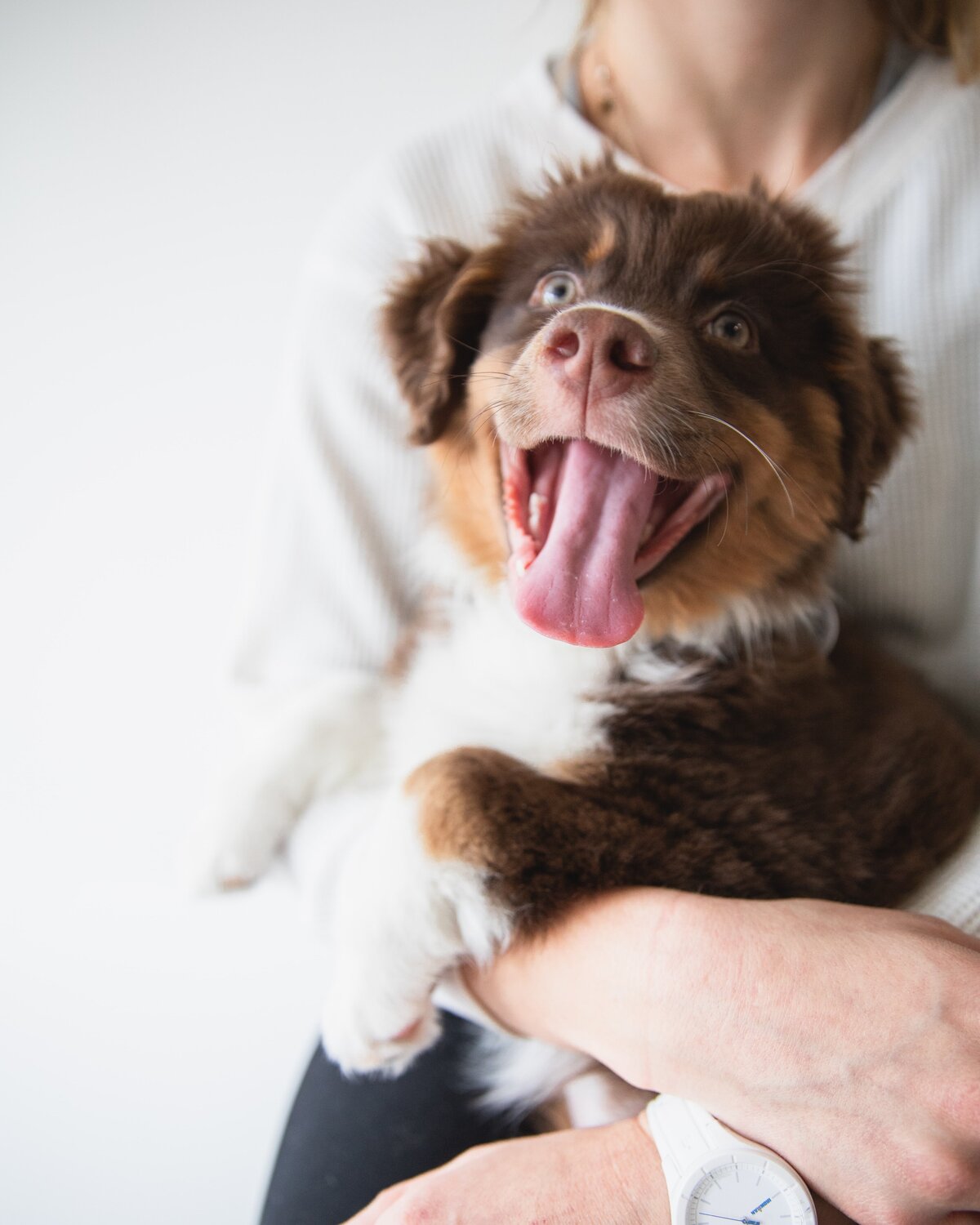 paje-victoria-HAtT_dqRiNI-unsplash