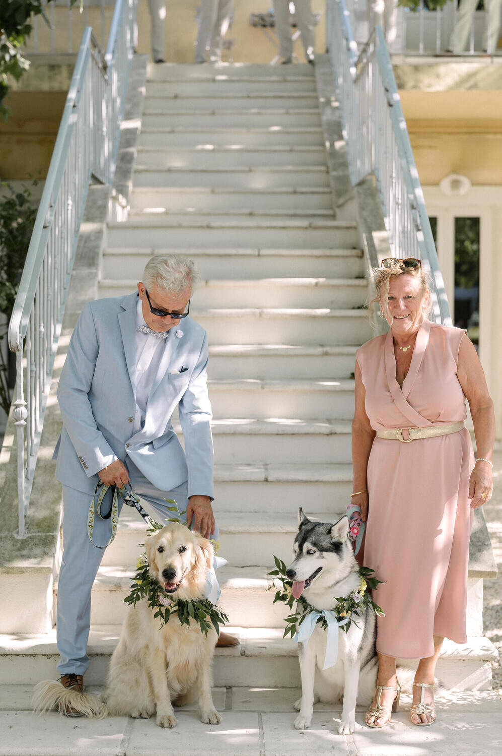 wedding-in-provence-with-dog4