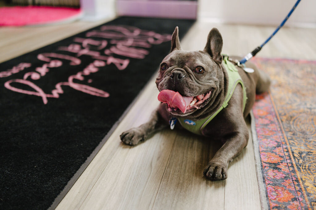 05.14hillfamilypetcare-8