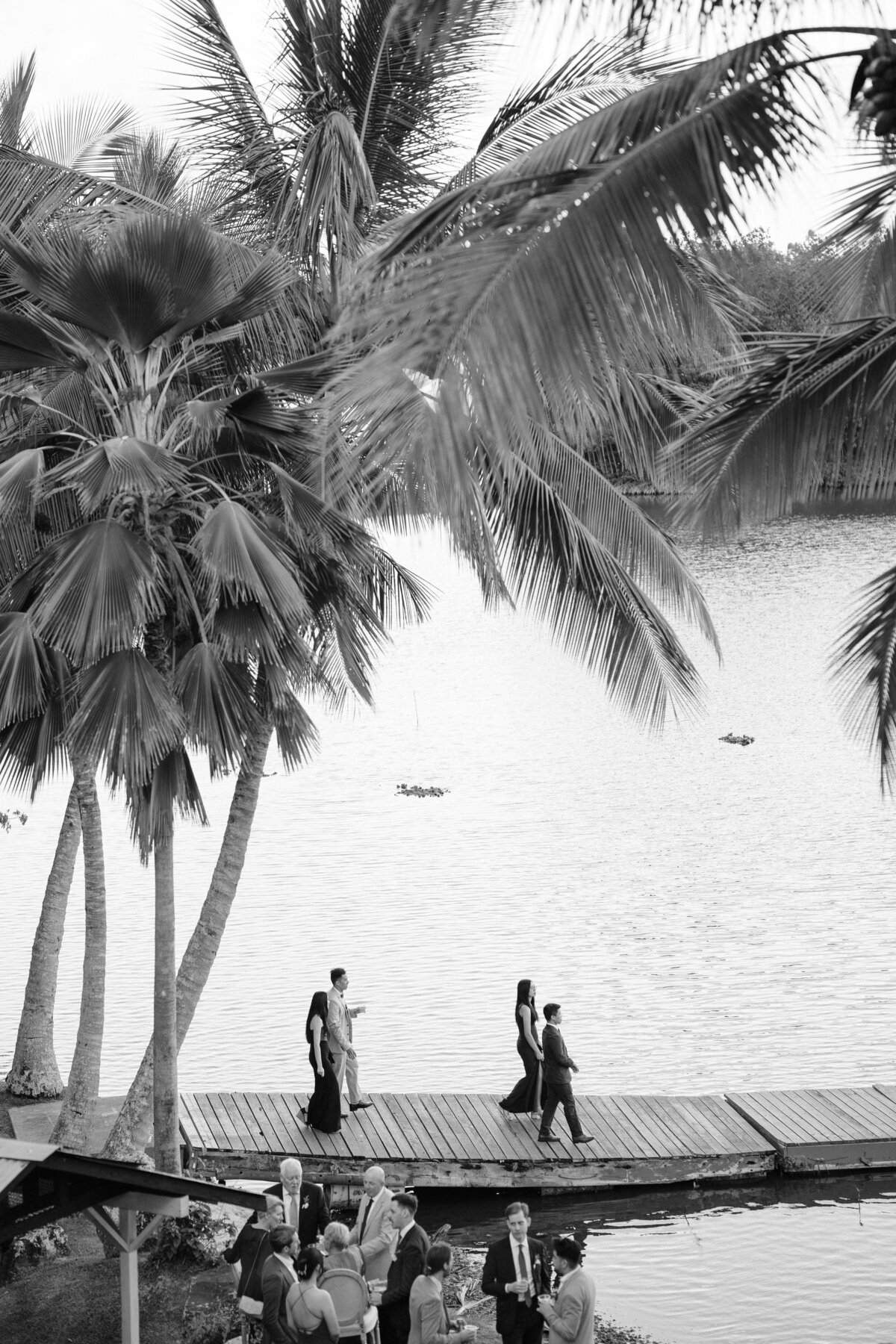 Wedding guests walking onto Kualoa Ranch dock with palm trees behind them in black and white