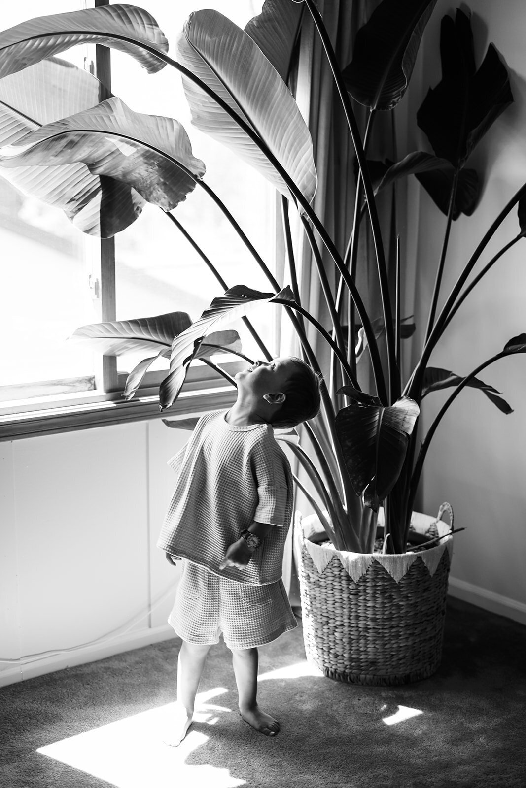 biggs-7037_websize