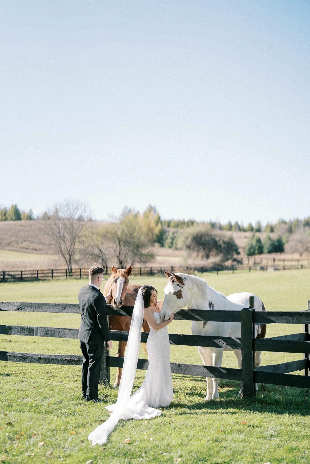 W11-Wedding-Photos-Caledon-Valley-Estate-Eleanor-and-Michael-2024-11-02-2500px-1101