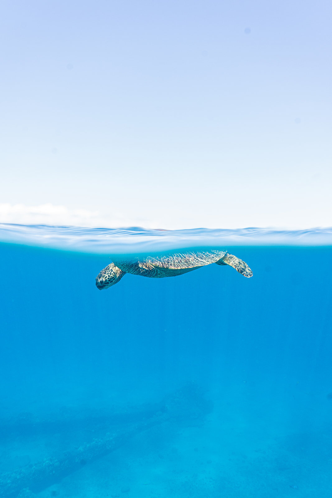 Rachael-Zimmerman-Photography-Denver-Colorado-Maui-Hawaii-LGBTQ-Adventure-Photographer-Landscape-63