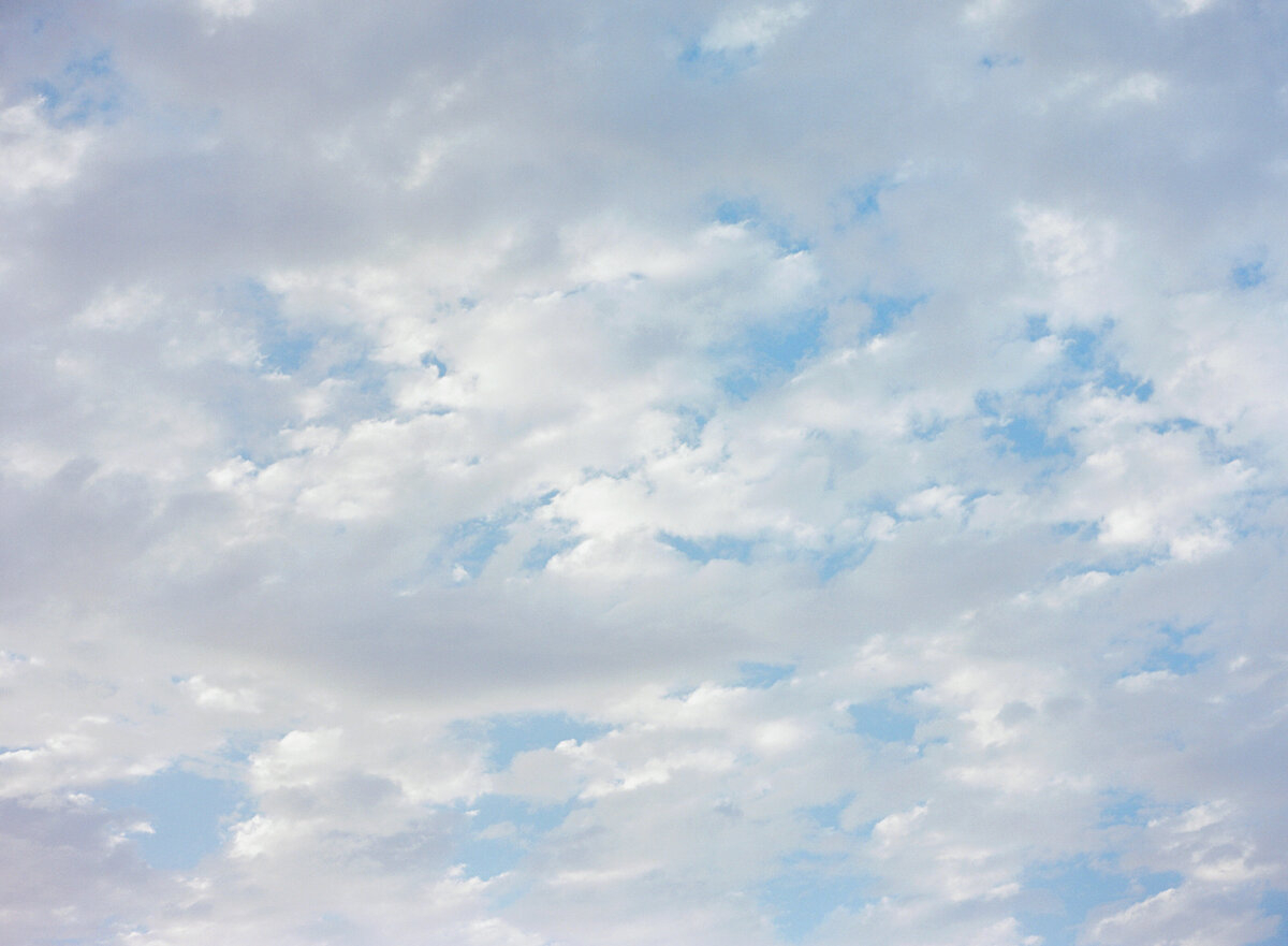 Wendy_Connor_Santa_Barbara_Engagement_Session_008