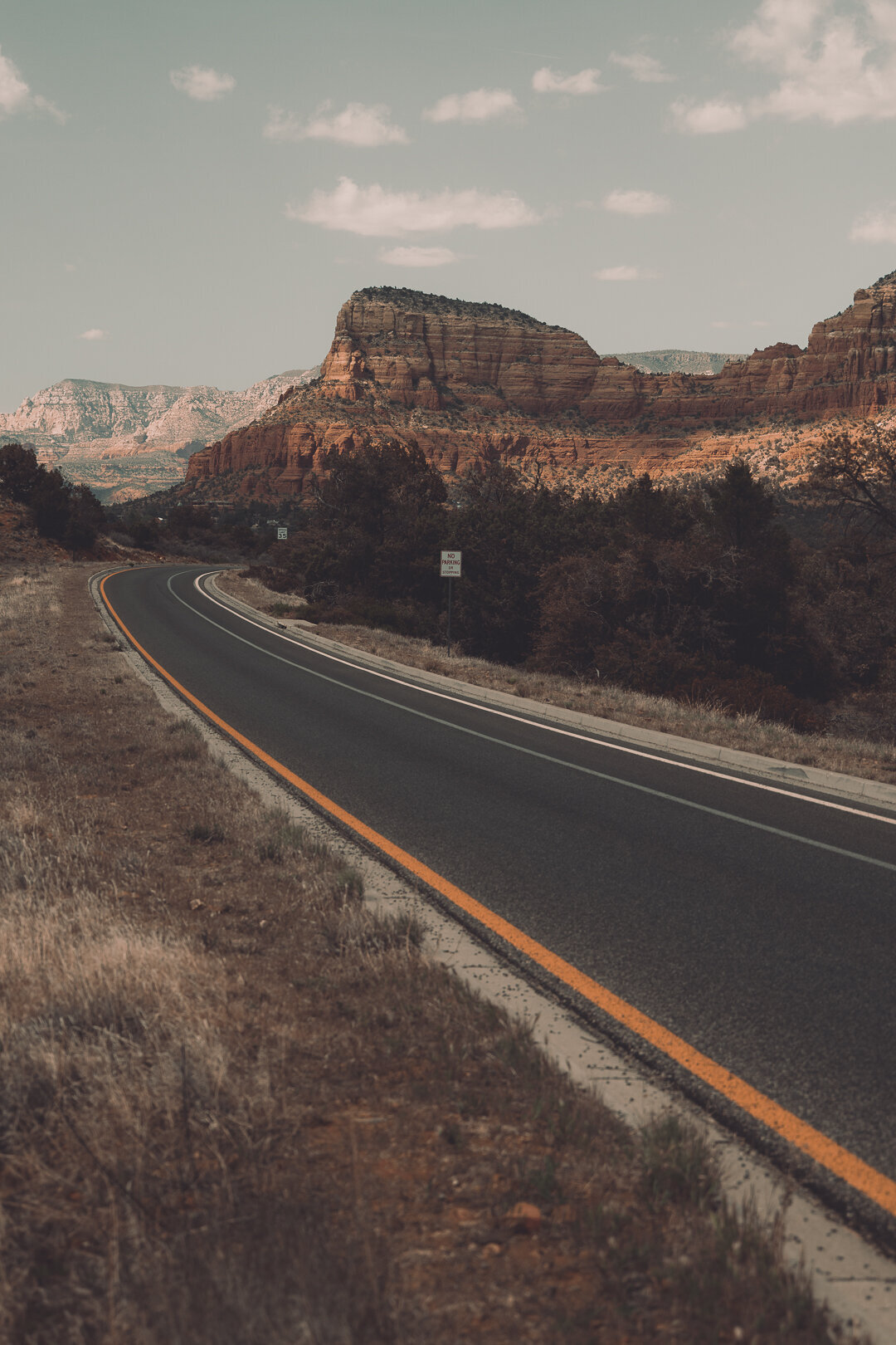 Arizona-93