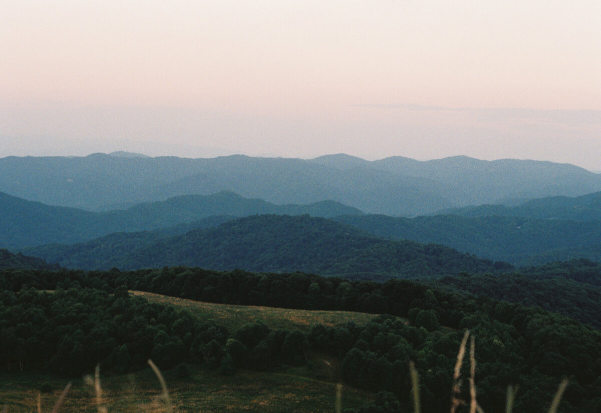 AG_6977_Gold 200_036041-R1-023-10
