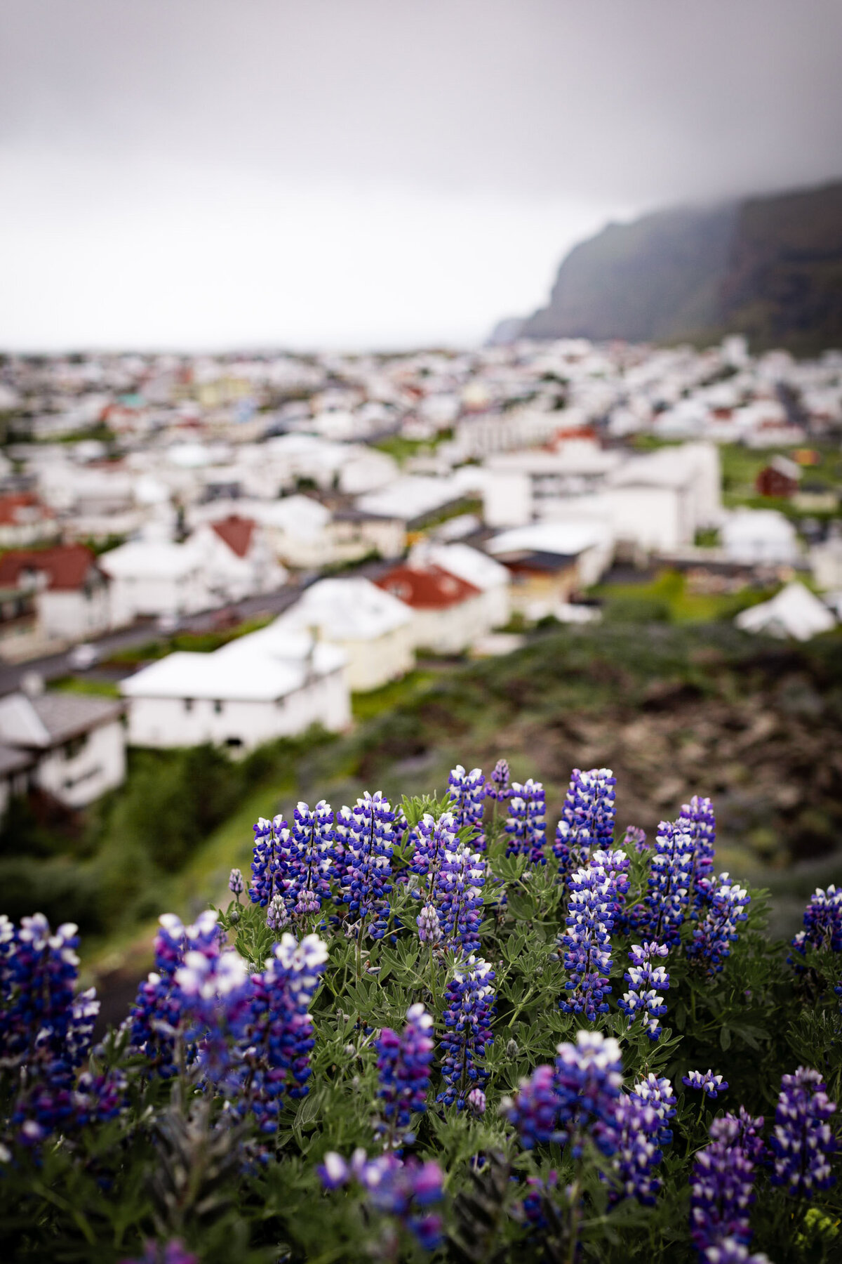 Iceland for Website-41
