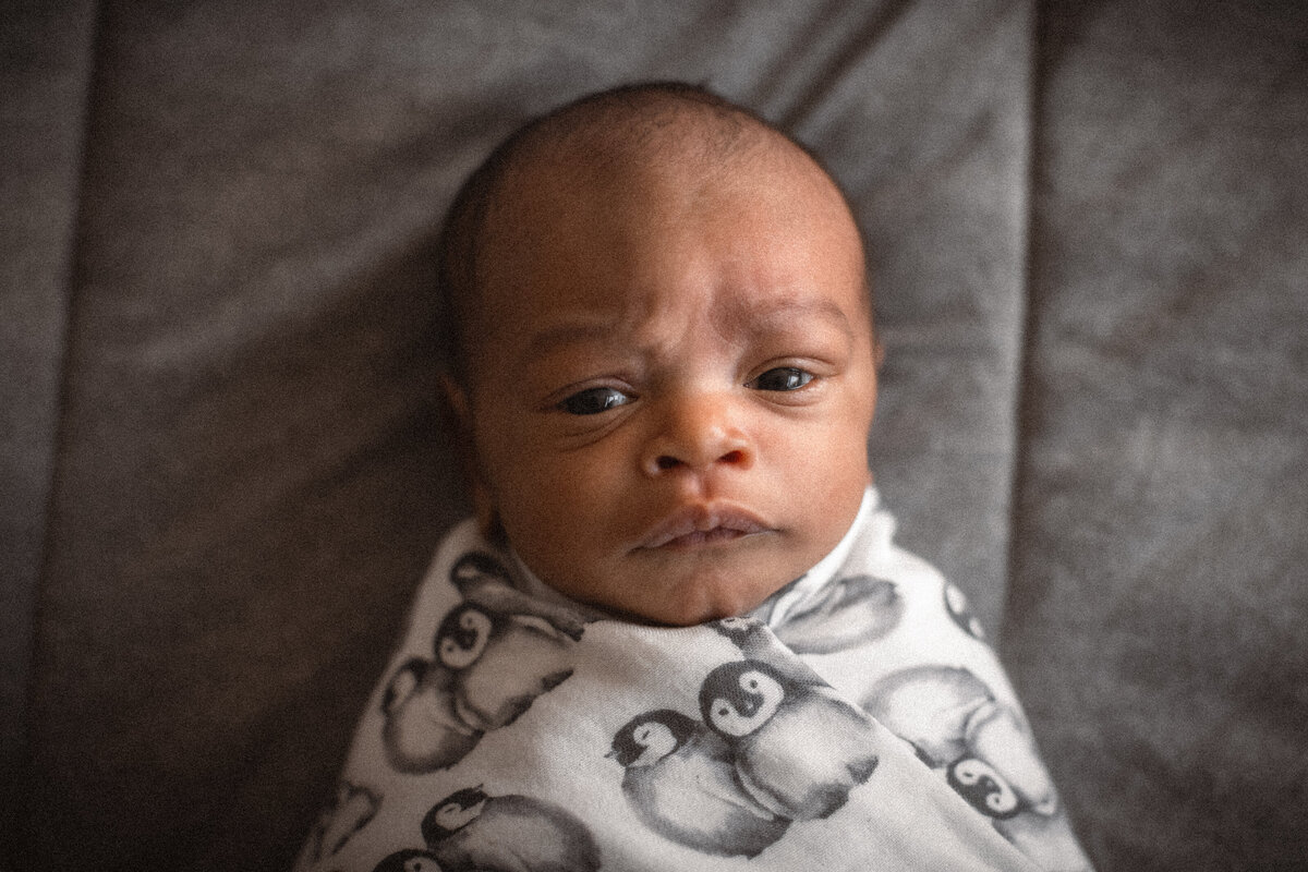 newborn baby looking at camera