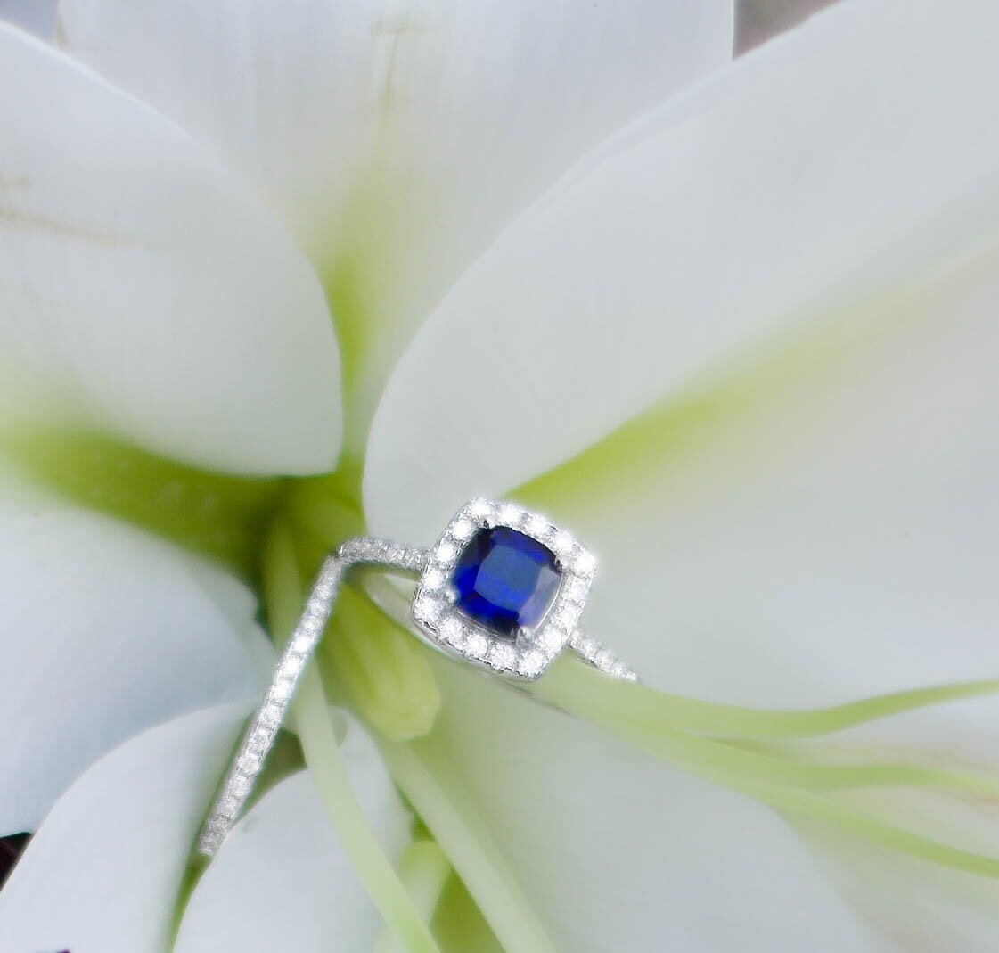 487481215_1175593631233387_2555538088619624107_n